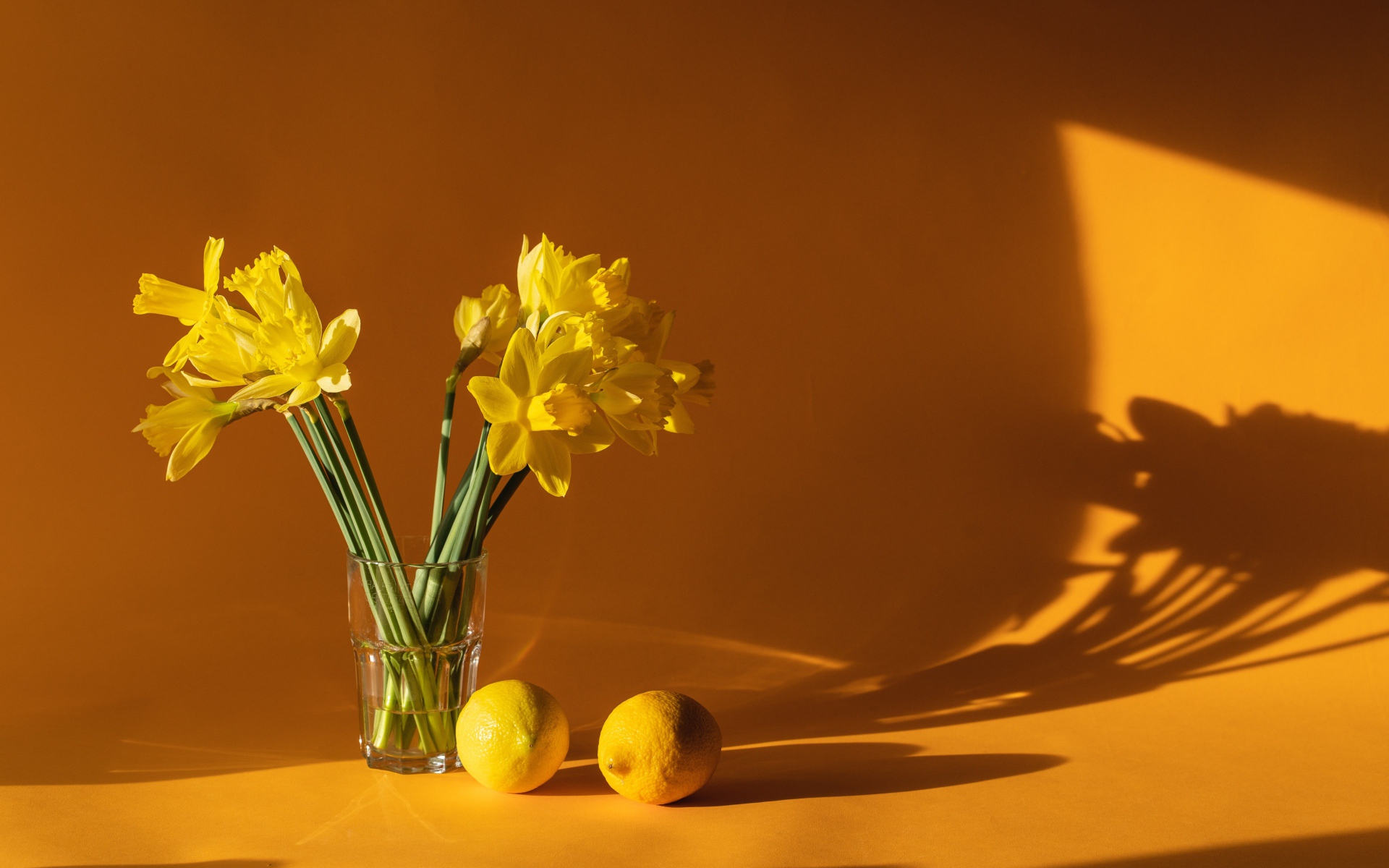Букет желтых нарциссов с лимонами на столе