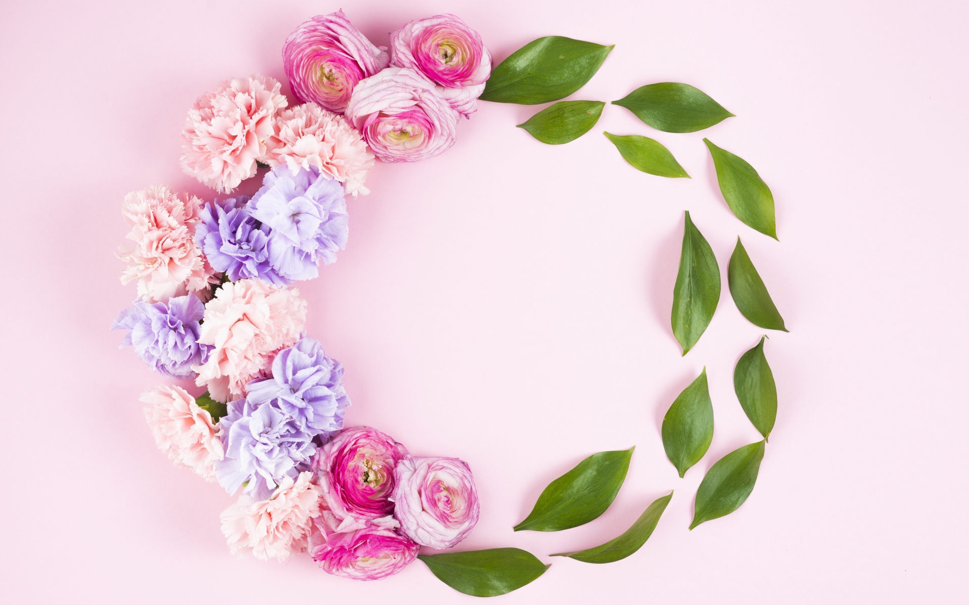 Гвоздики с лютиками и зелеными листьями на розовом фоне