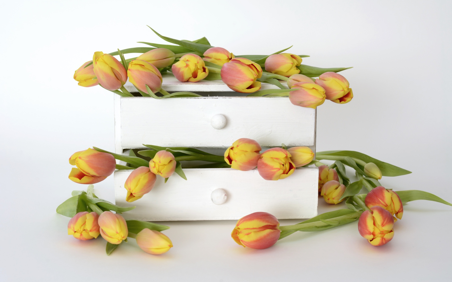 Оранжевые тюльпаны в ящике на фоне белой стены
