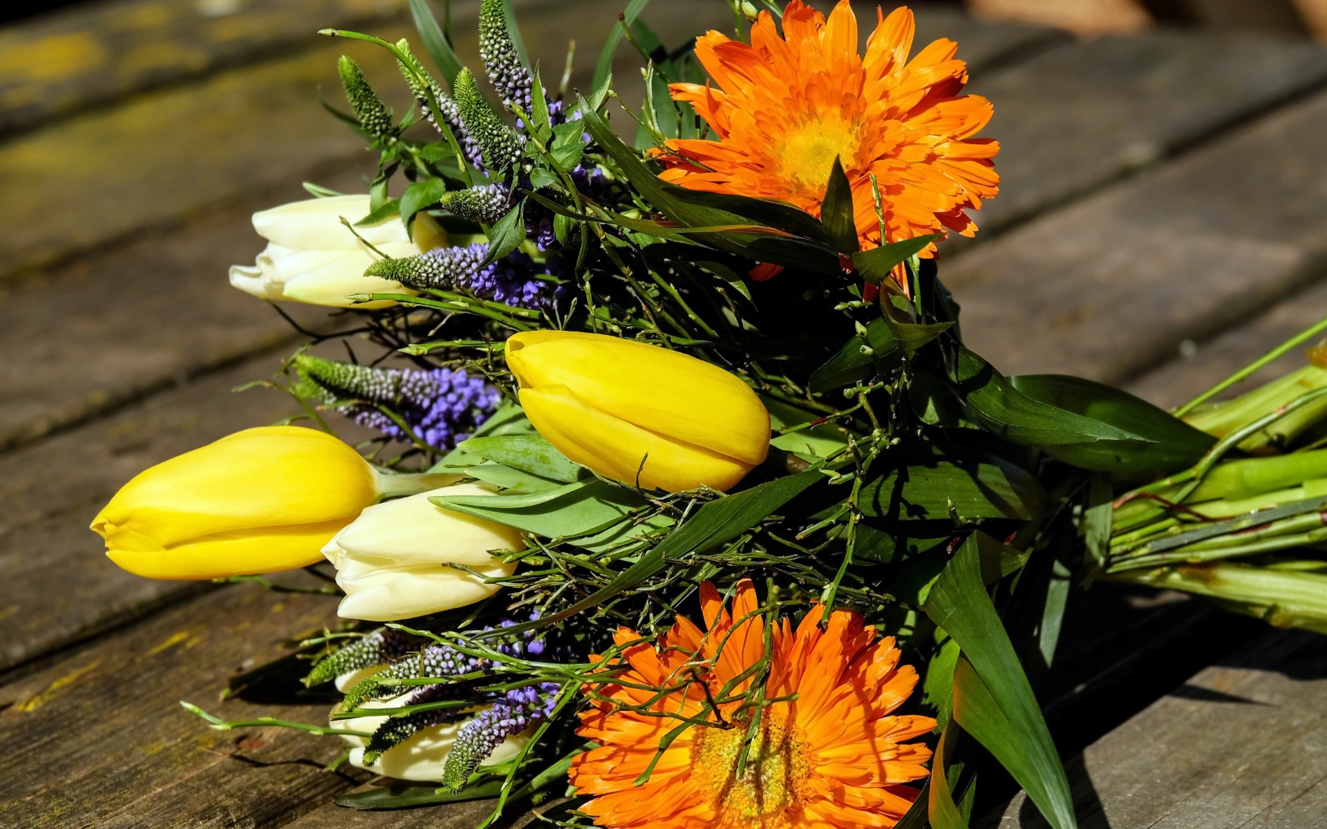 Цветы тюльпана с герберами на лавке