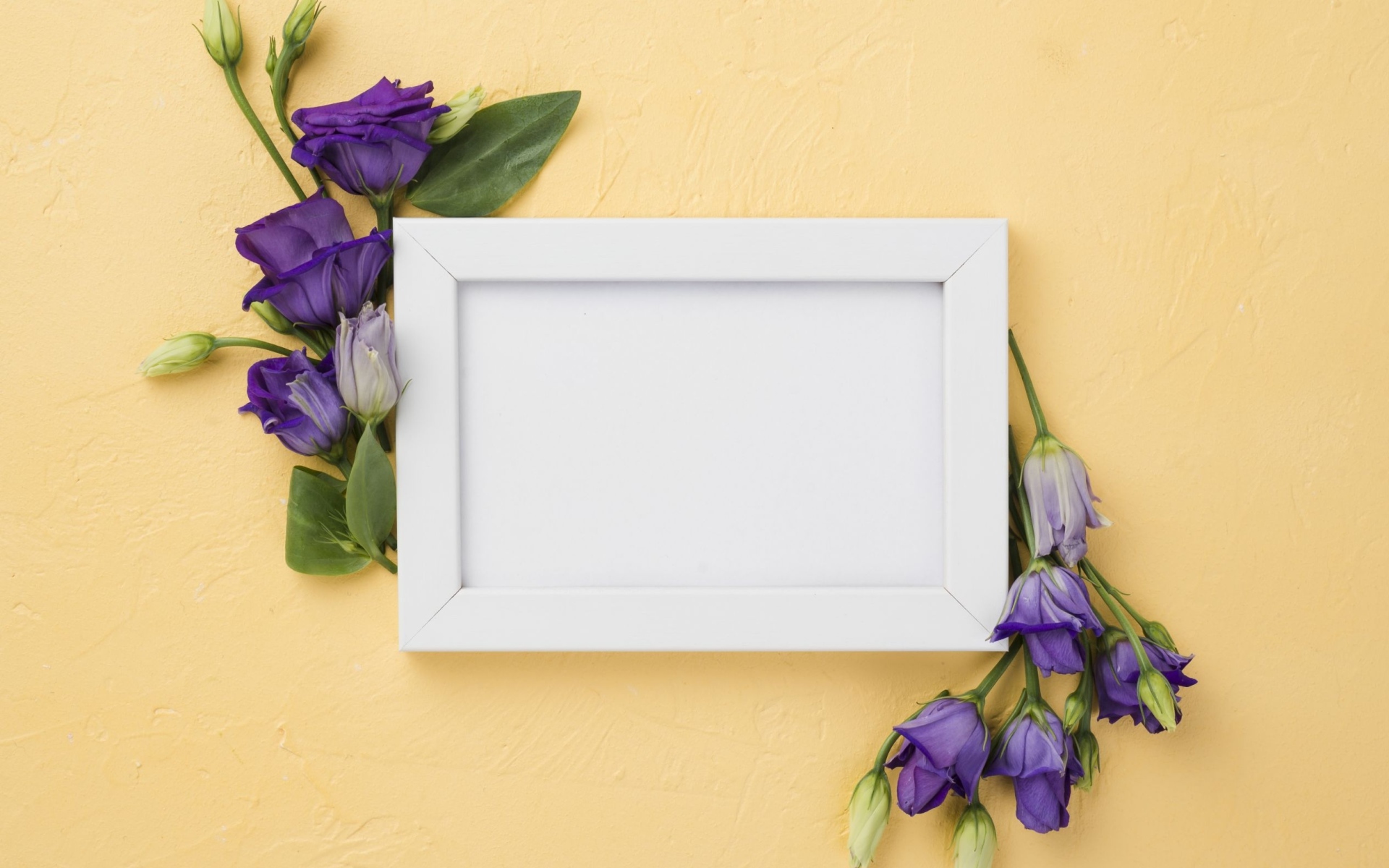 Белая рамка с фиолетовыми цветами эустома