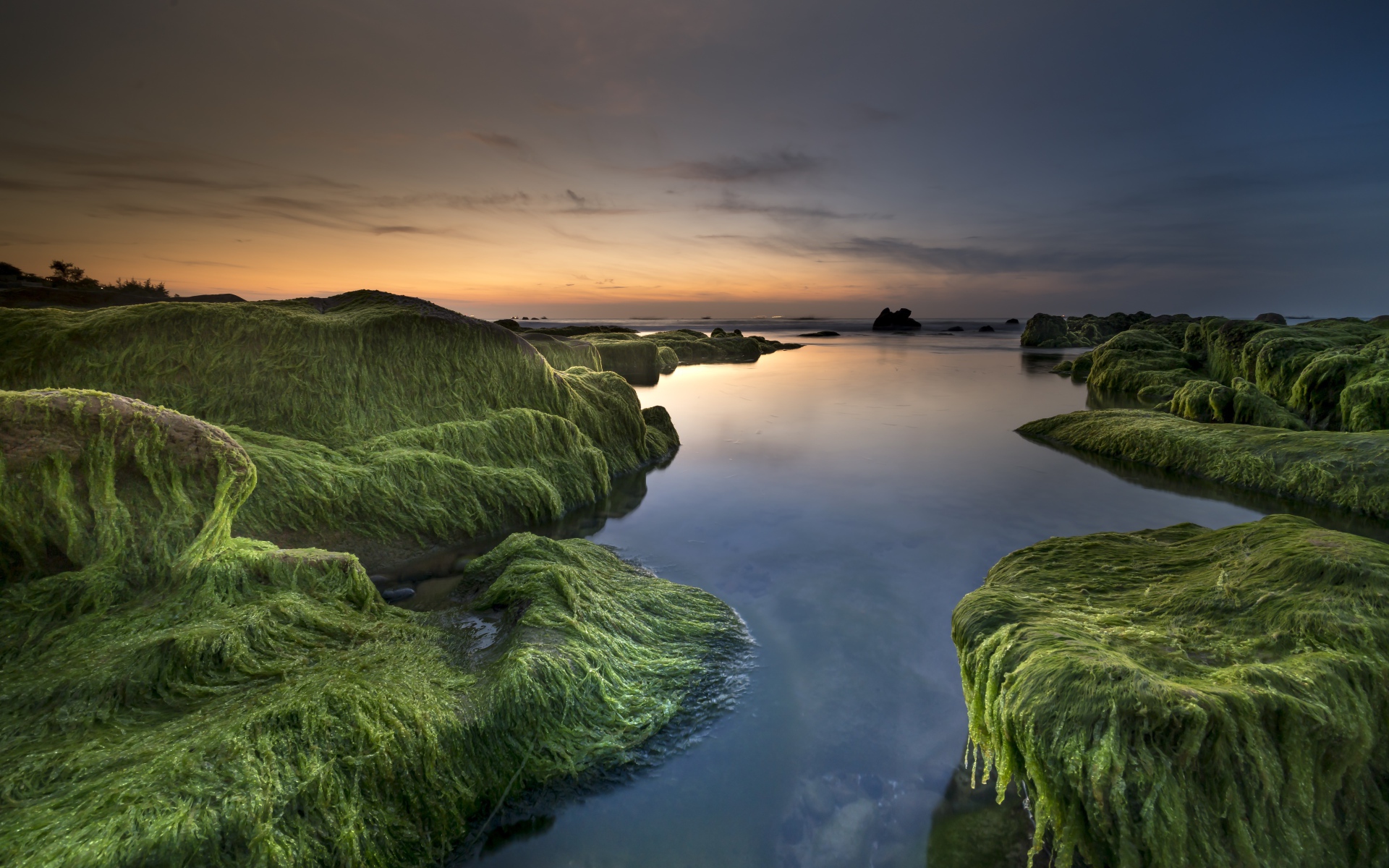 Покрытые зеленью берега у реки на закате солнца