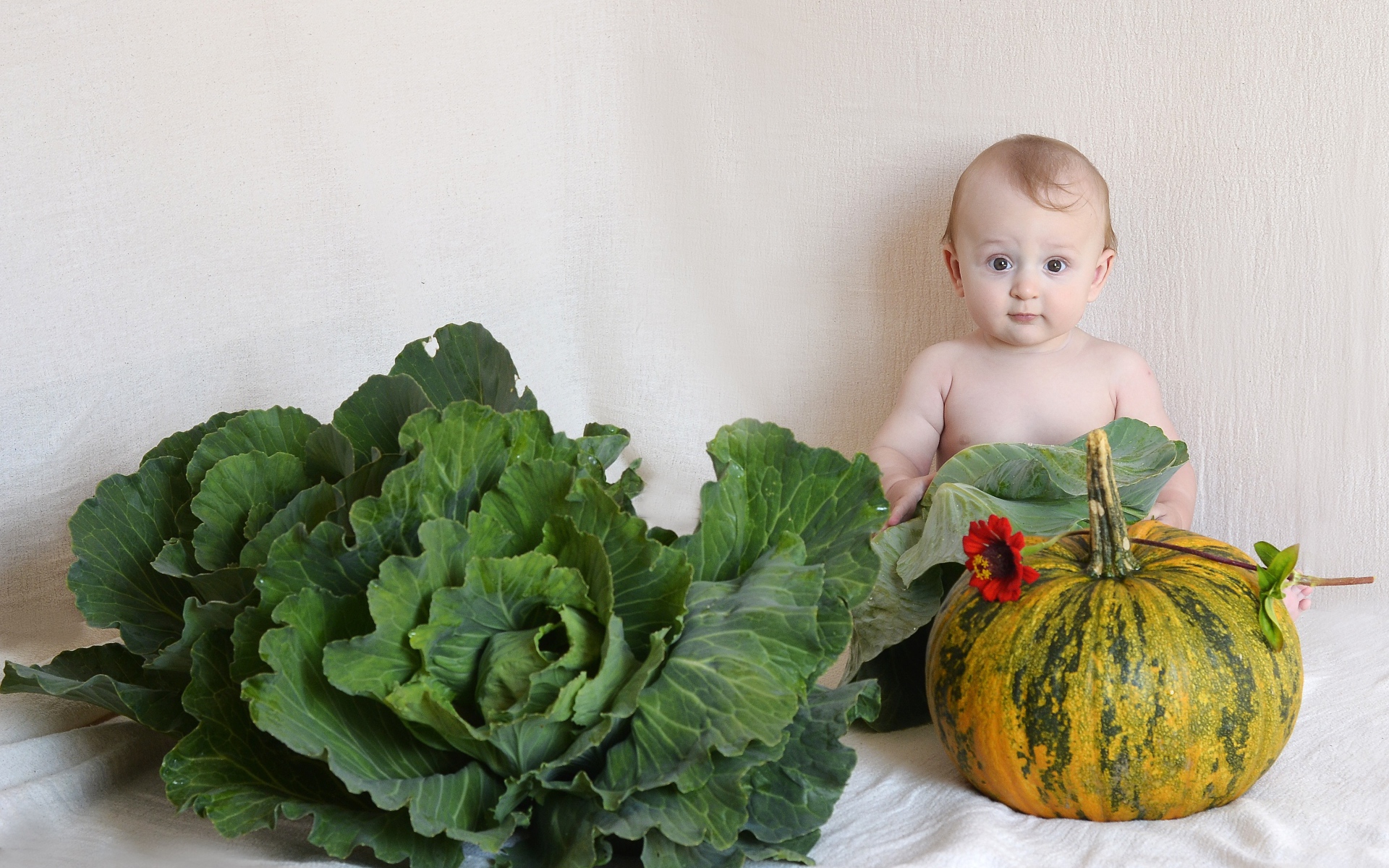 Маленький ребенок с  тыквой и капустой у стены