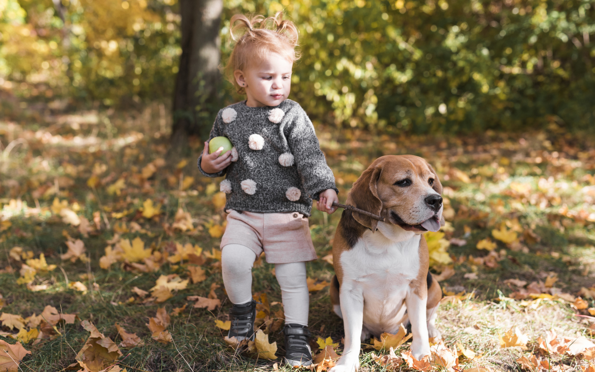 Little girl with beagle dog in autumn park