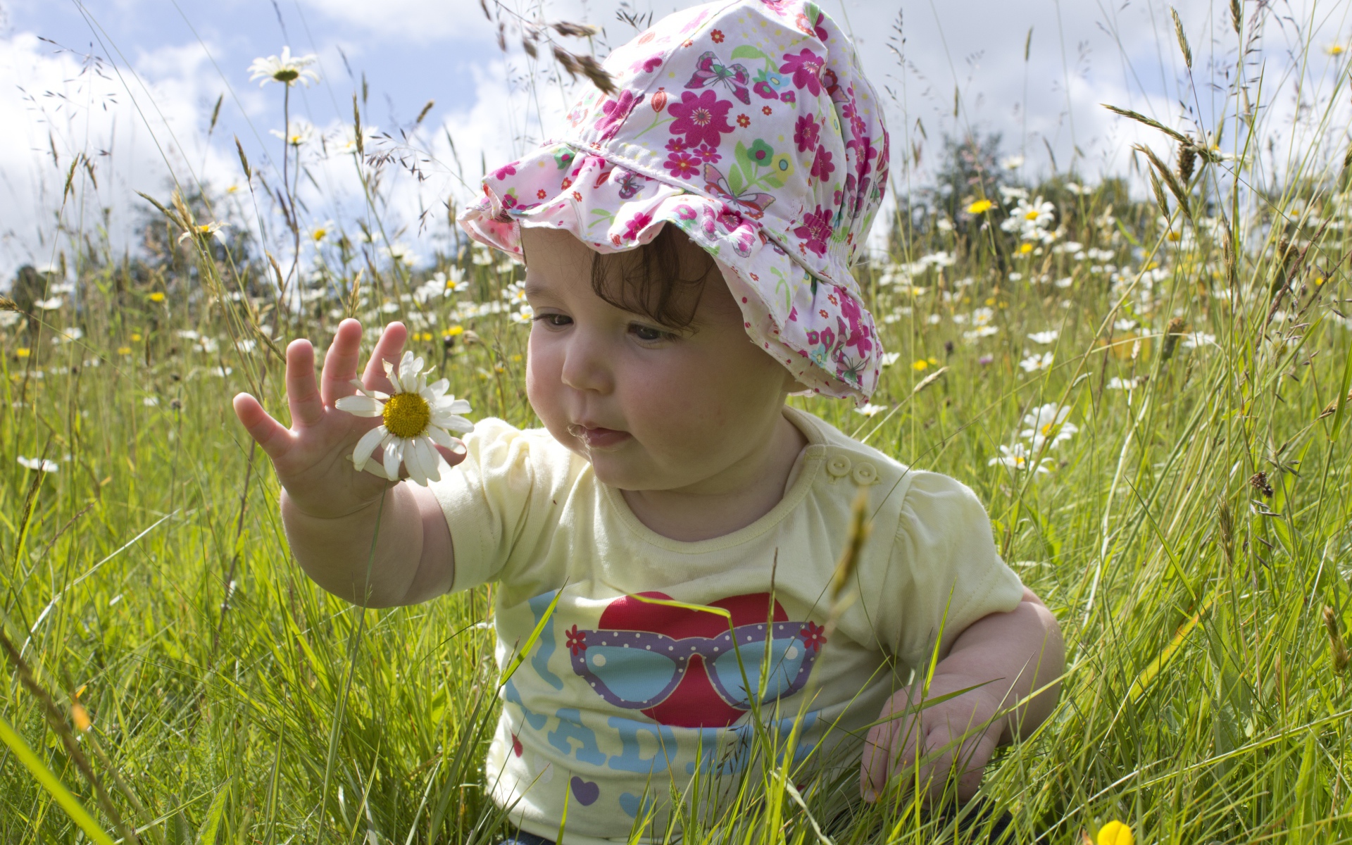 Маленький ребенок в панамке с ромашкой в руке