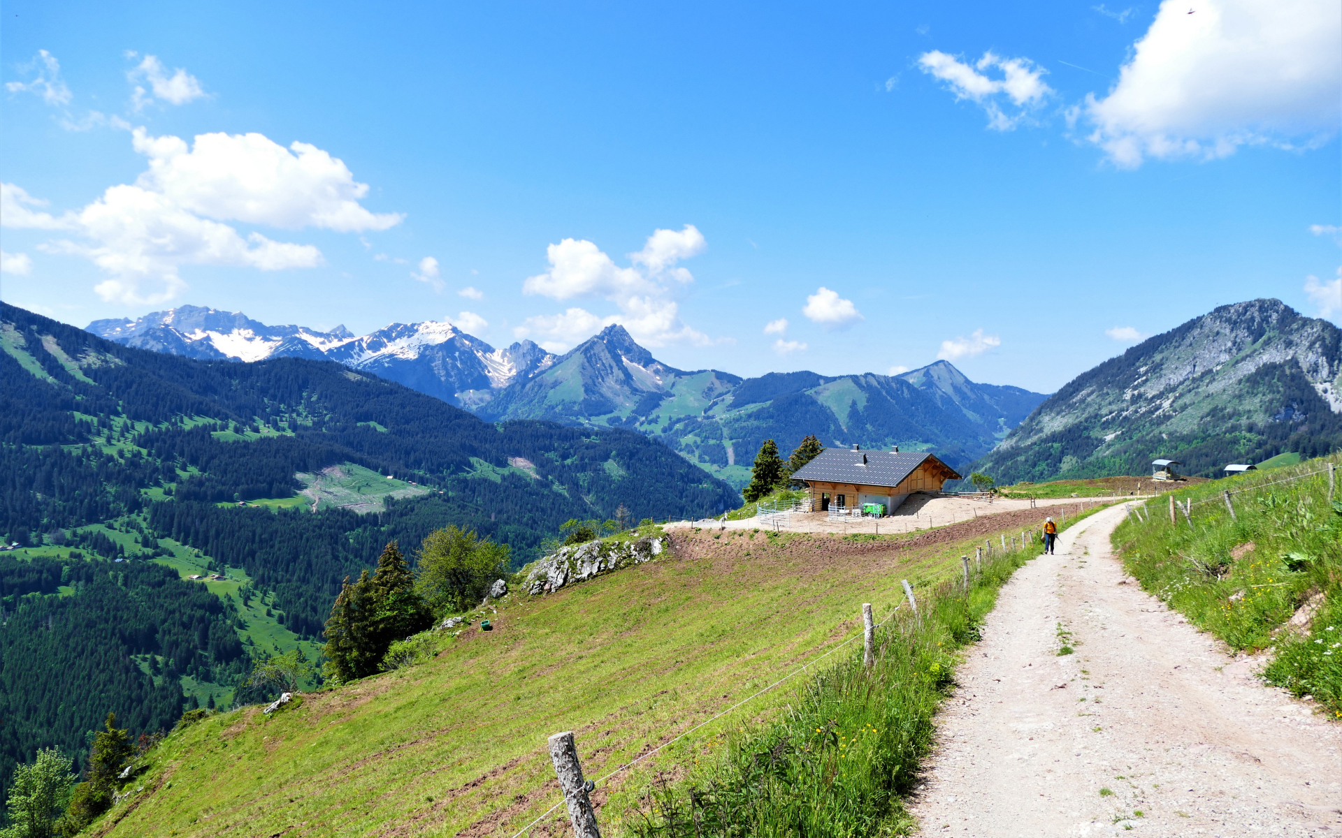 Красивый вид на покрытые зеленью Альпы, Франция 