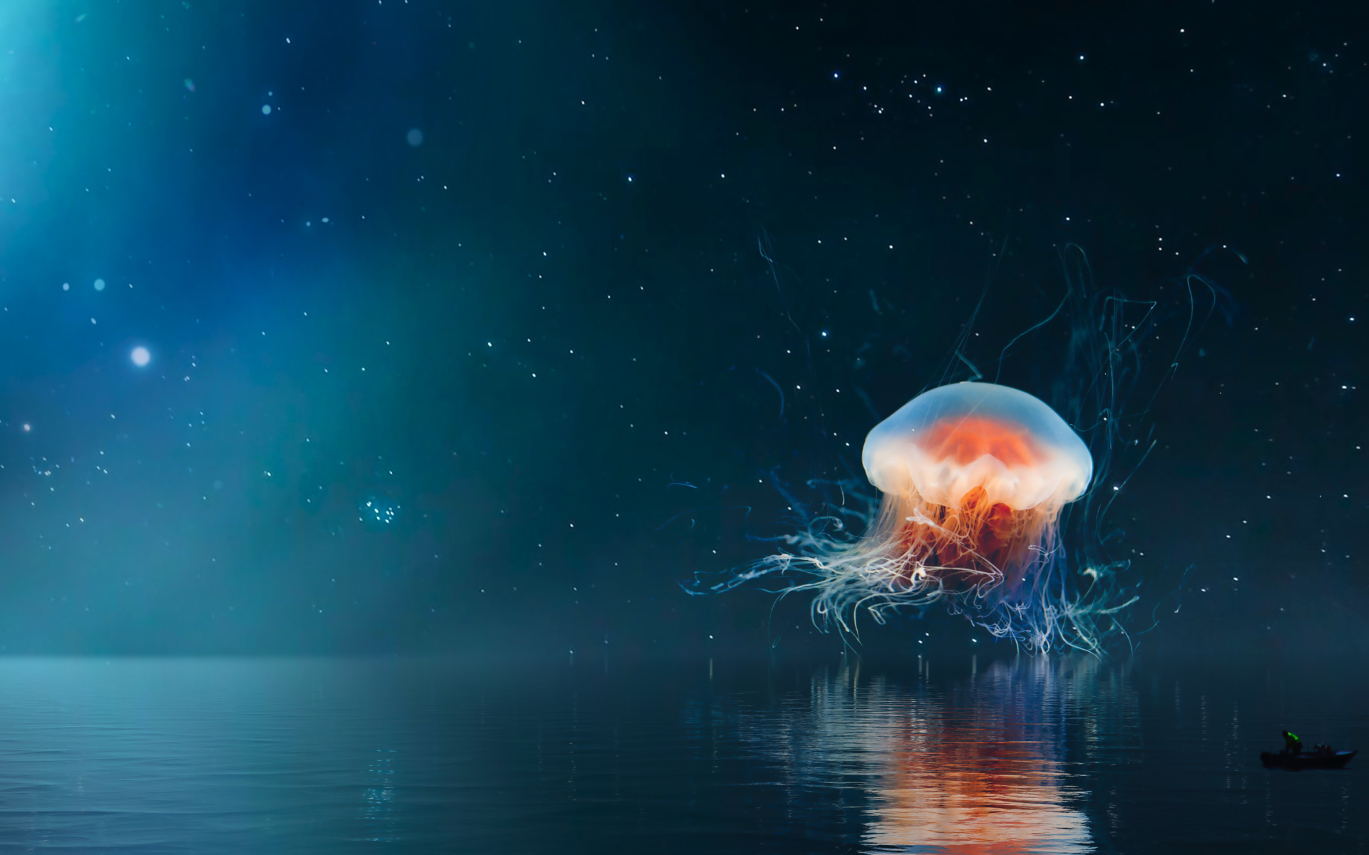 Большая медуза на фоне неба