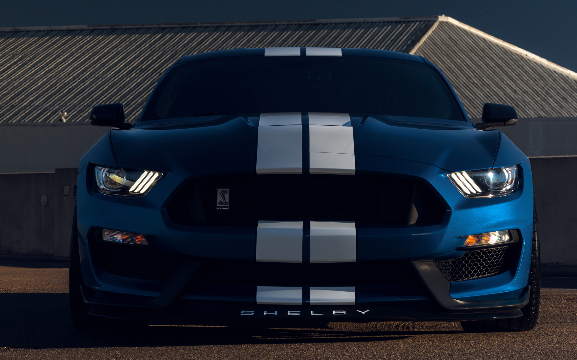 Автомобиль Ford Mustang Shelby GT350  вид спереди