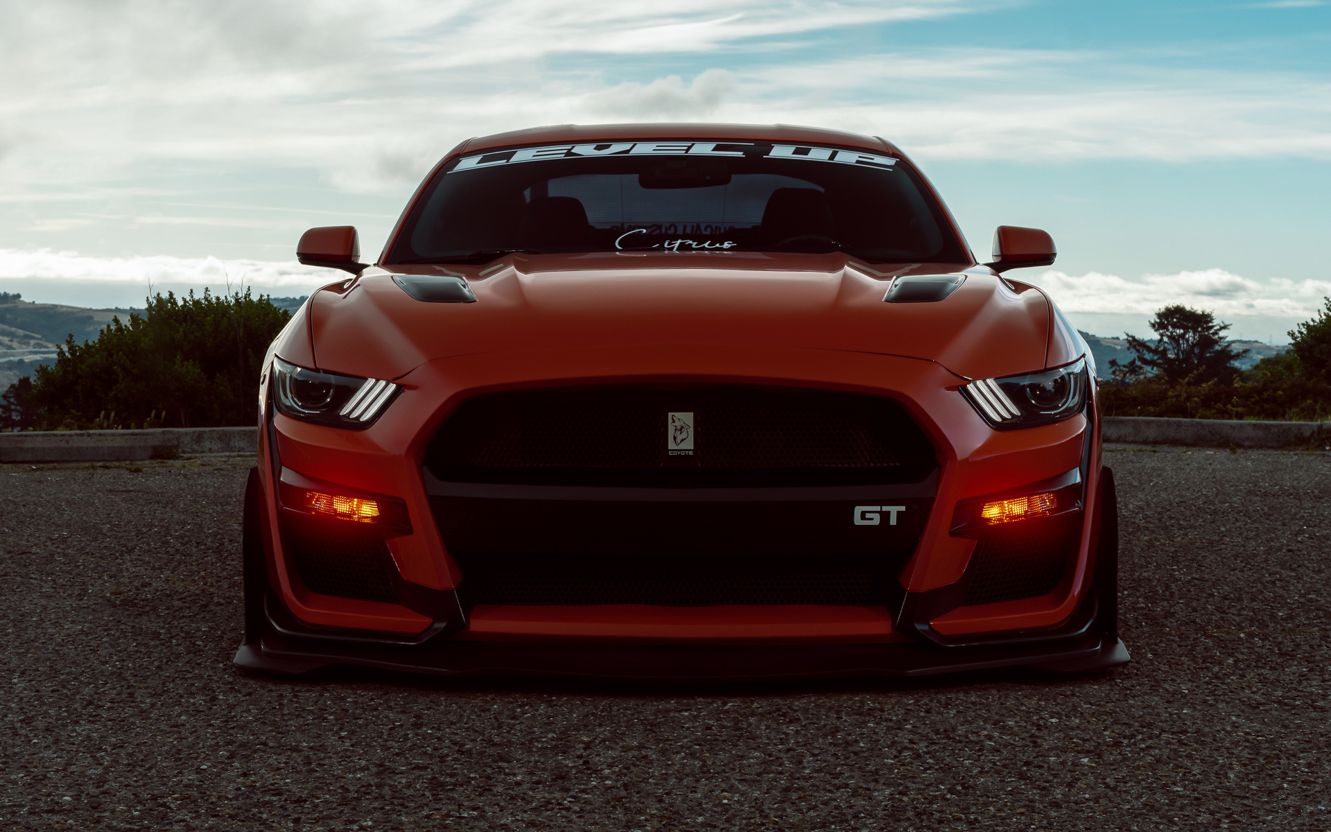 Красный спорткар Ford Shelby GT500 вид спереди
