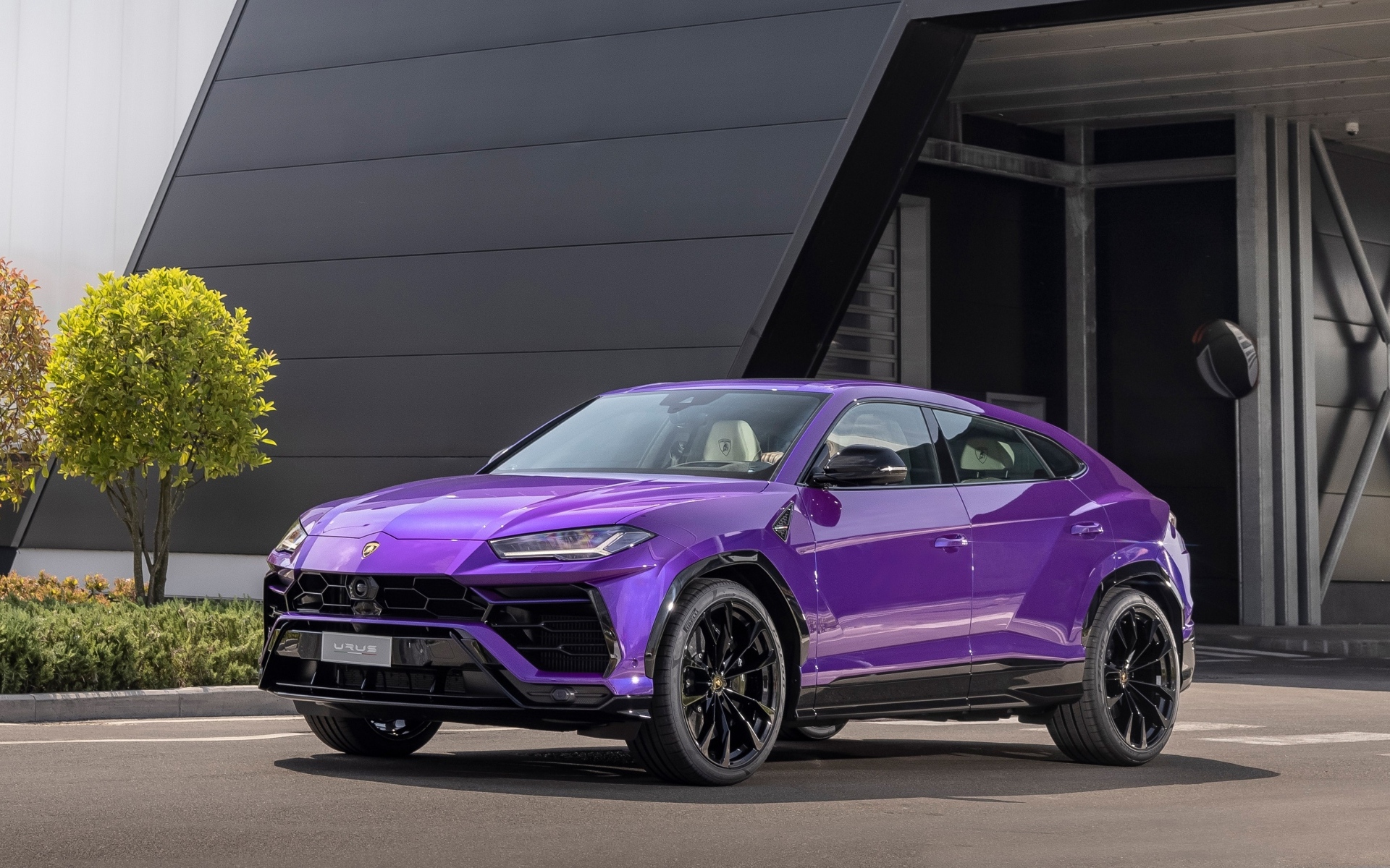 Сиреневый внедорожник Lamborghini Urus