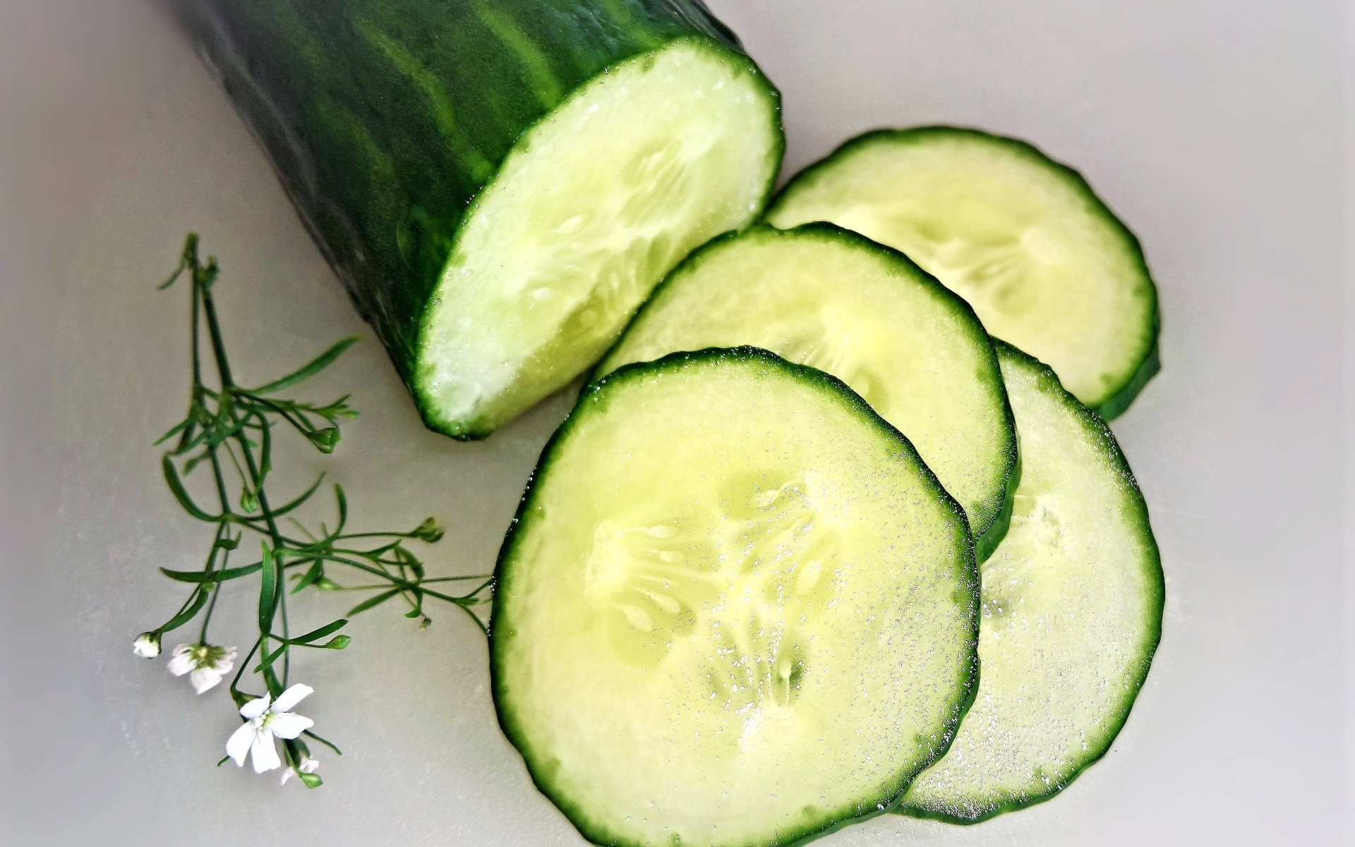 Большой свежий зеленый огурец на сером фоне