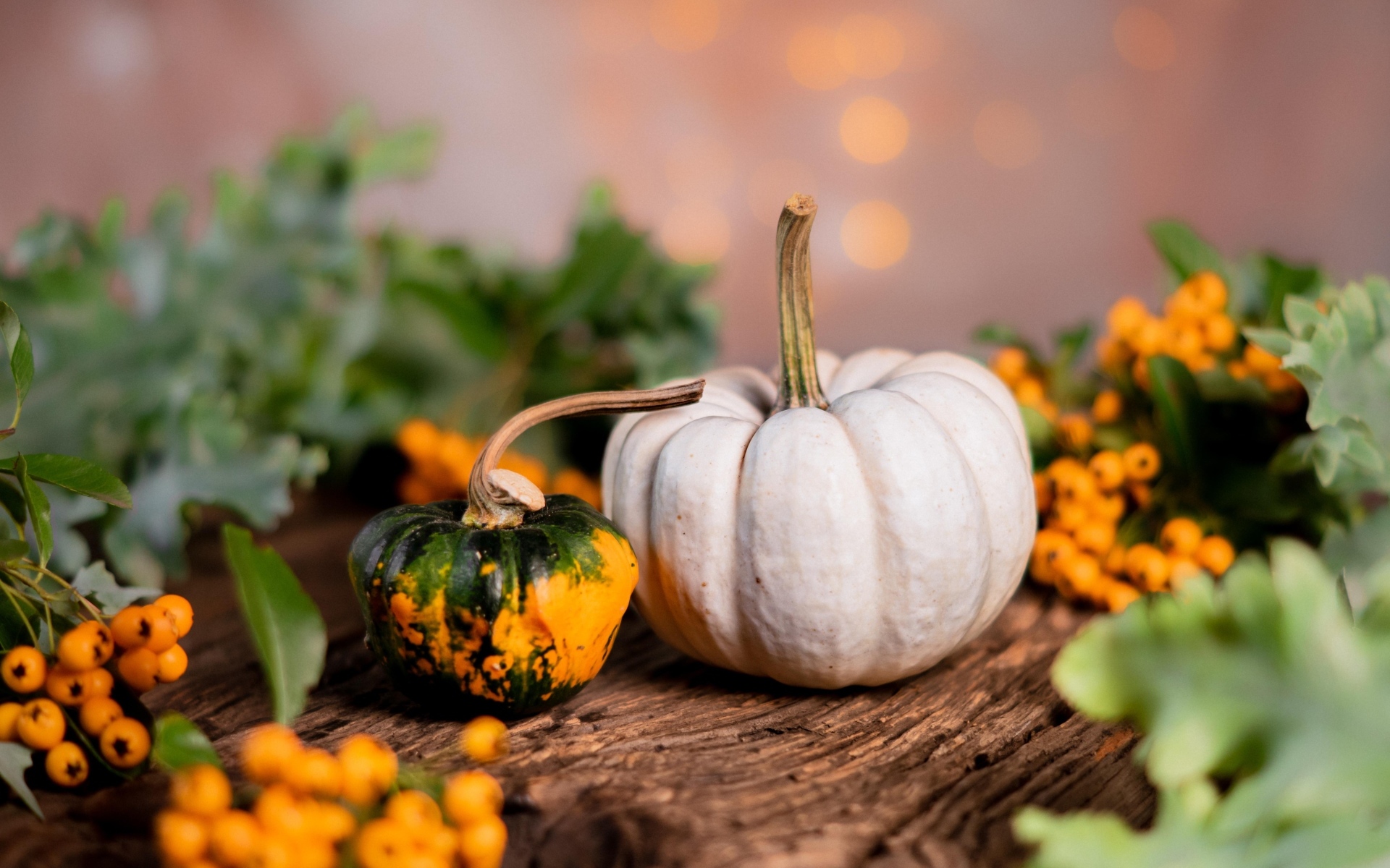 Тыква с ягодами рябины на столе