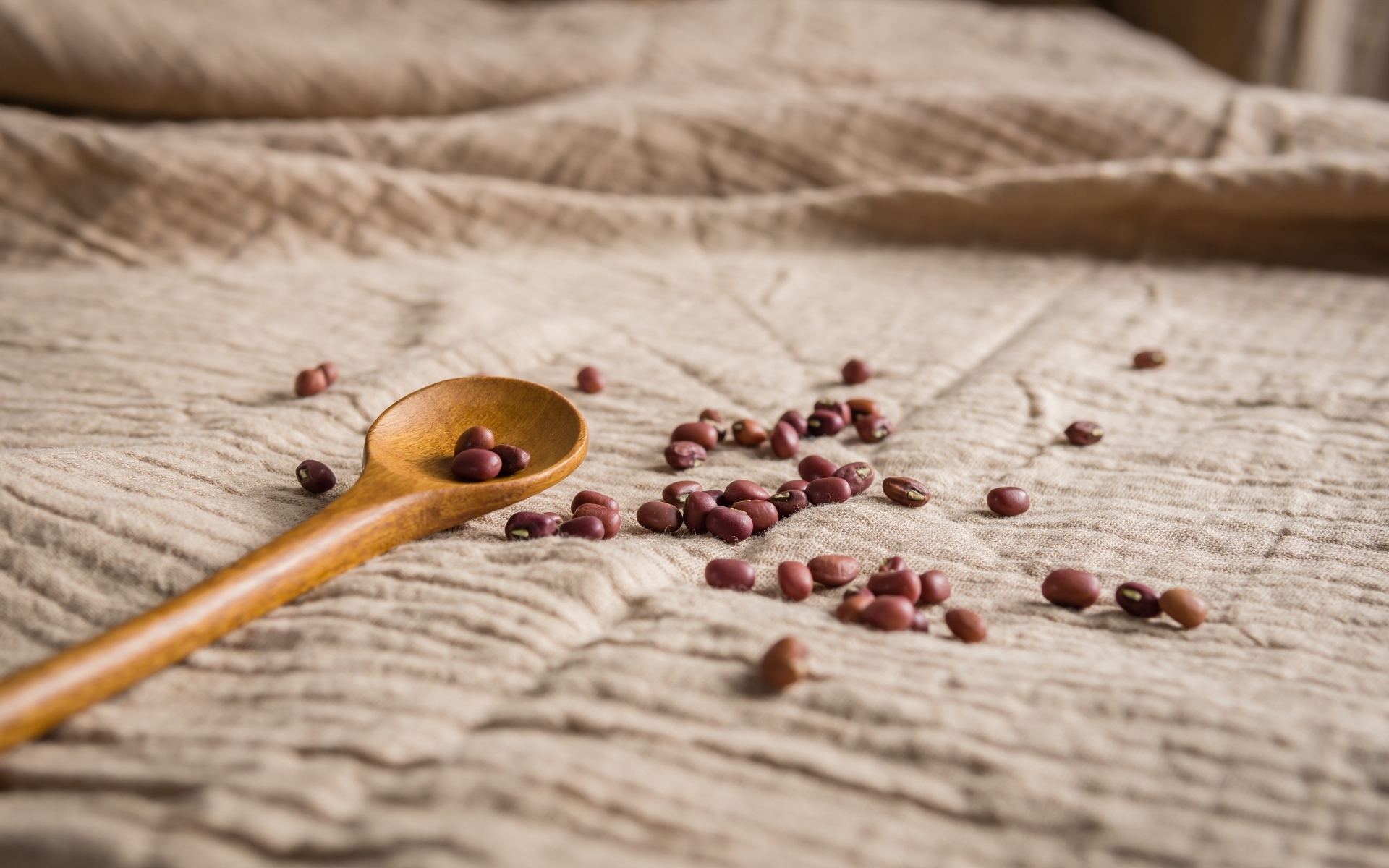 Деревянная ложка на скатерти с фасолью 