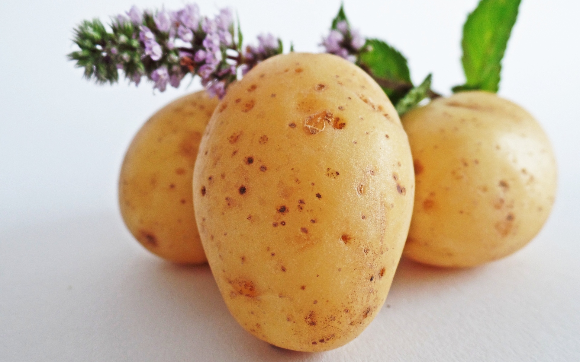 Молодой картофель с цветами мяты