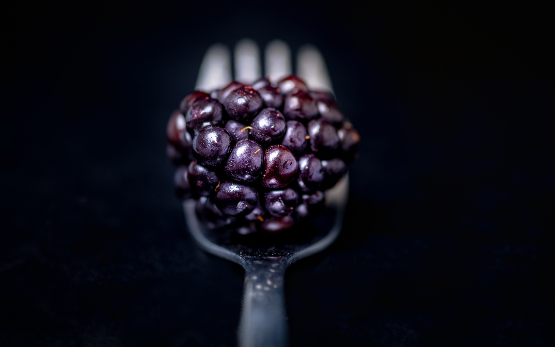 Ягода ежевики на вилке на черном фоне