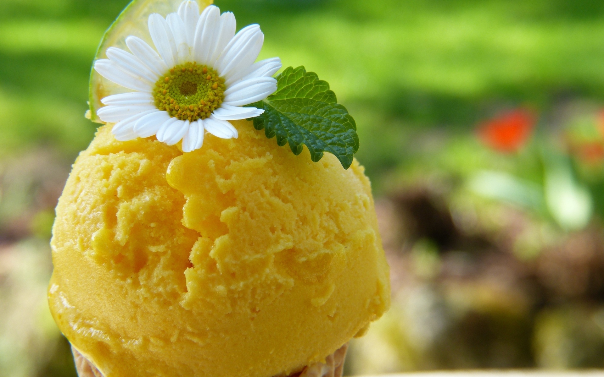 Желтое фруктовое мороженое с цветком ромашки