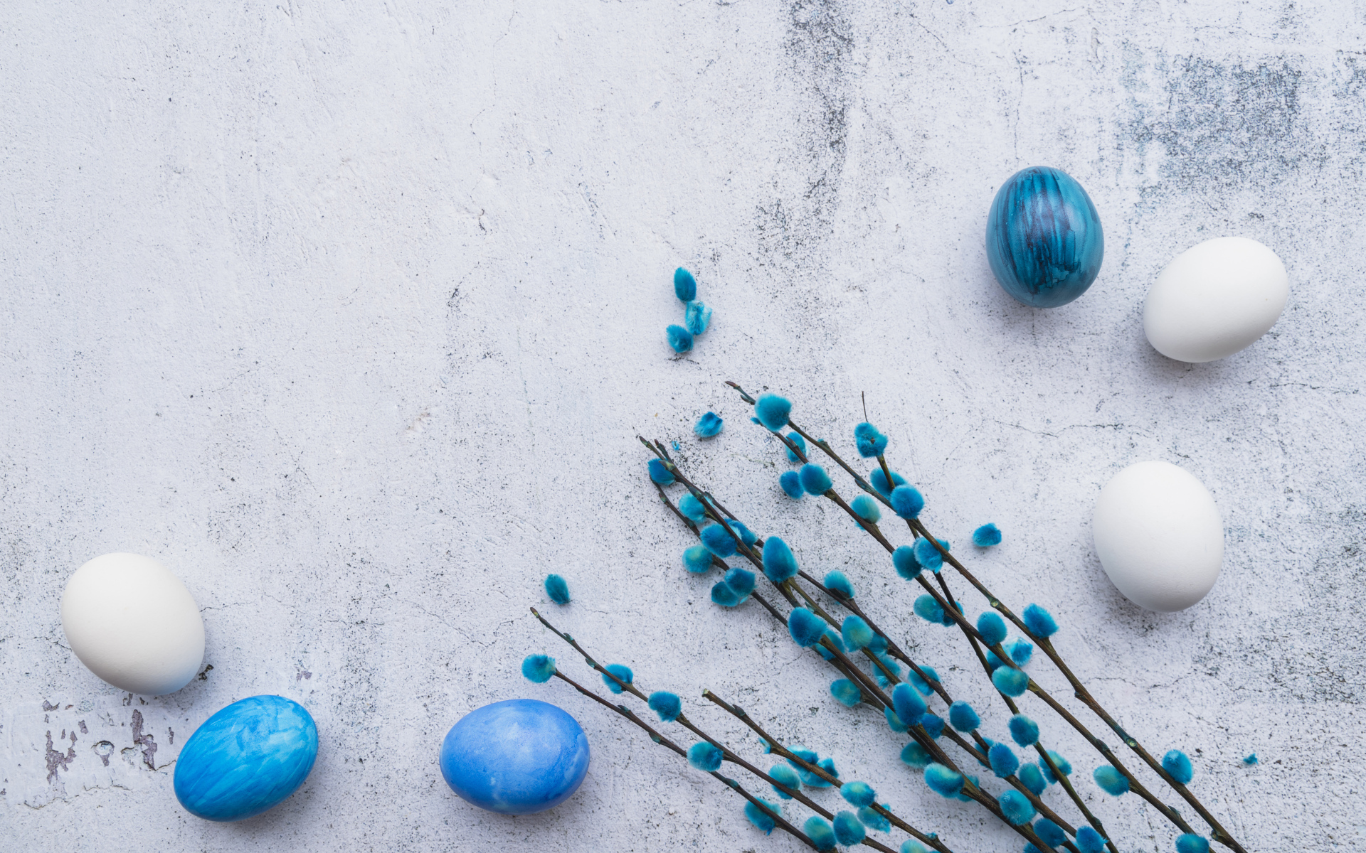 Ветка вербы с голубыми и белыми яйцами на сером фоне на праздник Пасха