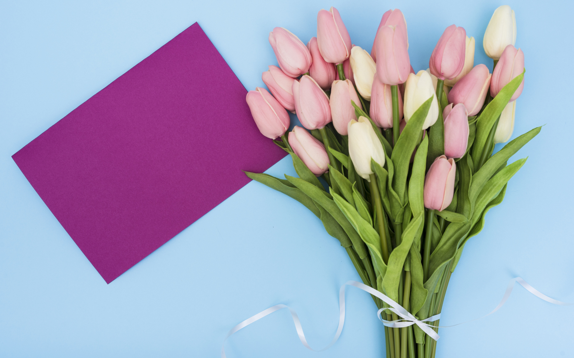 Букет тюльпанов на голубом фоне шаблон поздравительной открытки на 8 марта