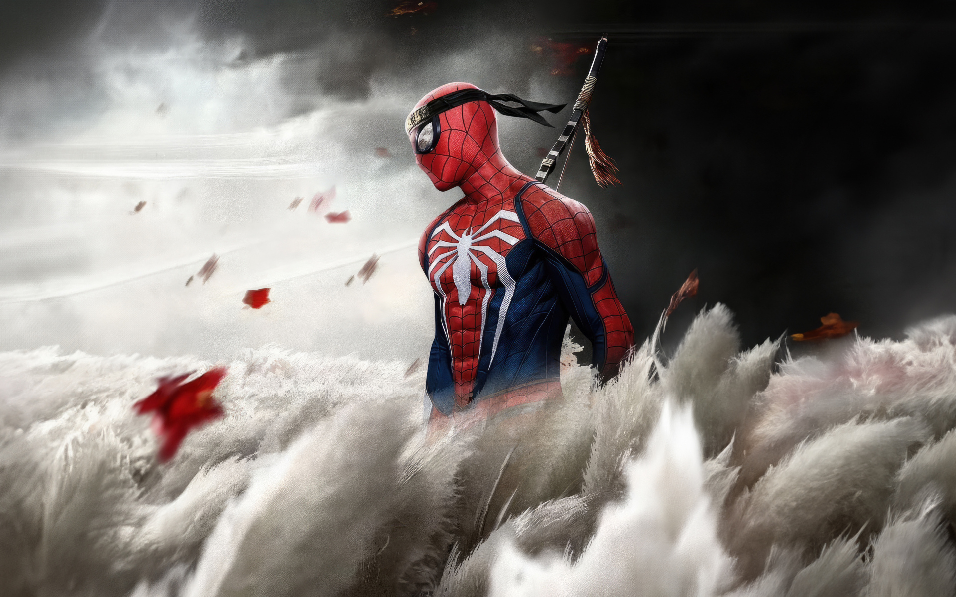 Ниндзя Человек паук на поле