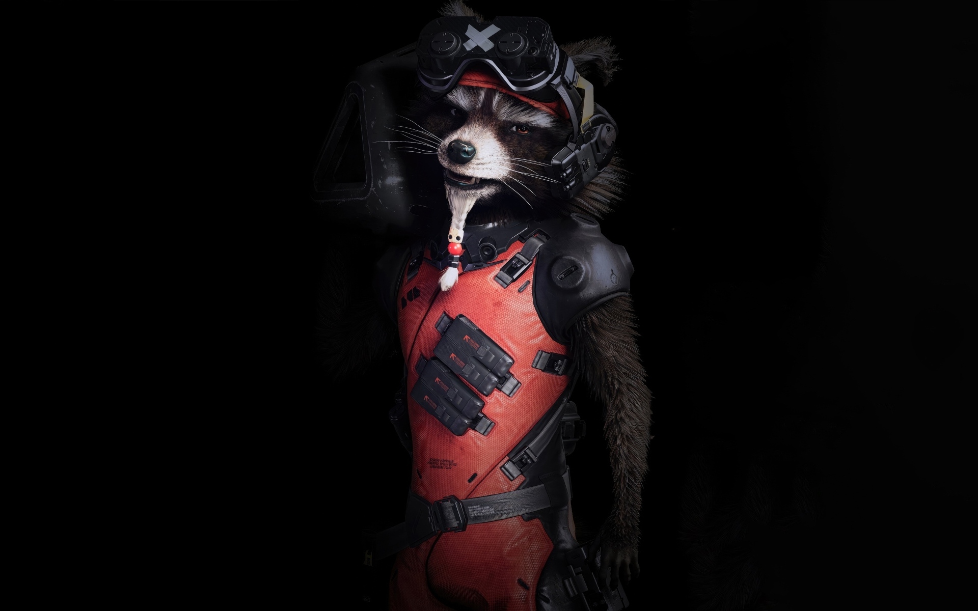 Енот в костюме на черном фоне