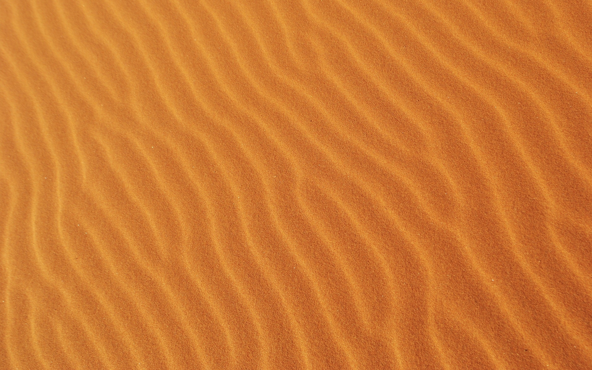 Волнистый горячий песок пустыни крупным планом