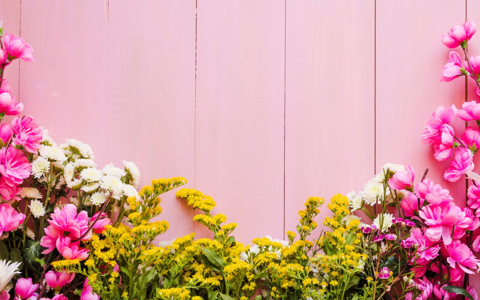 Красивые цветы на розовом фоне