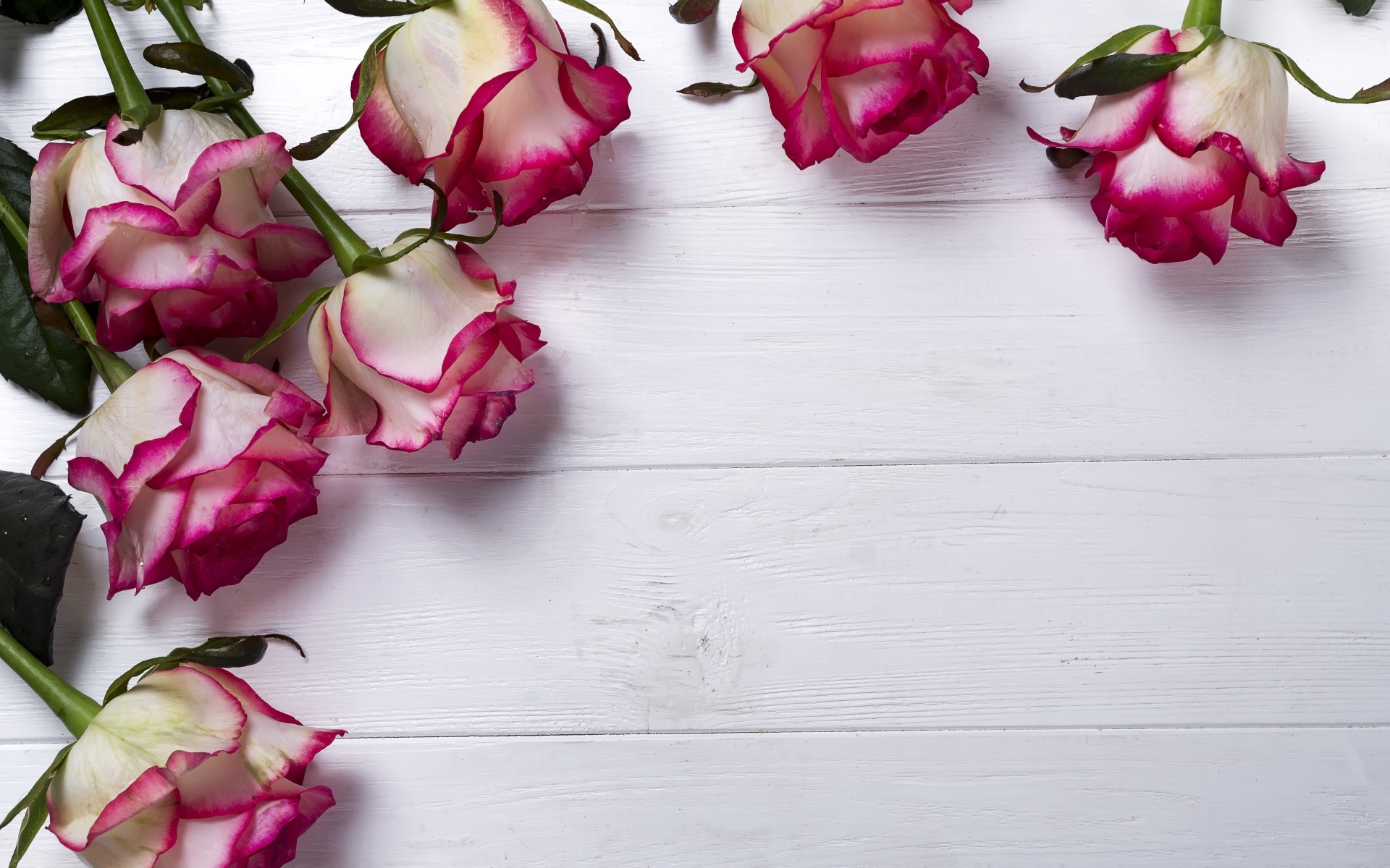 Красивые розы на деревянном фоне