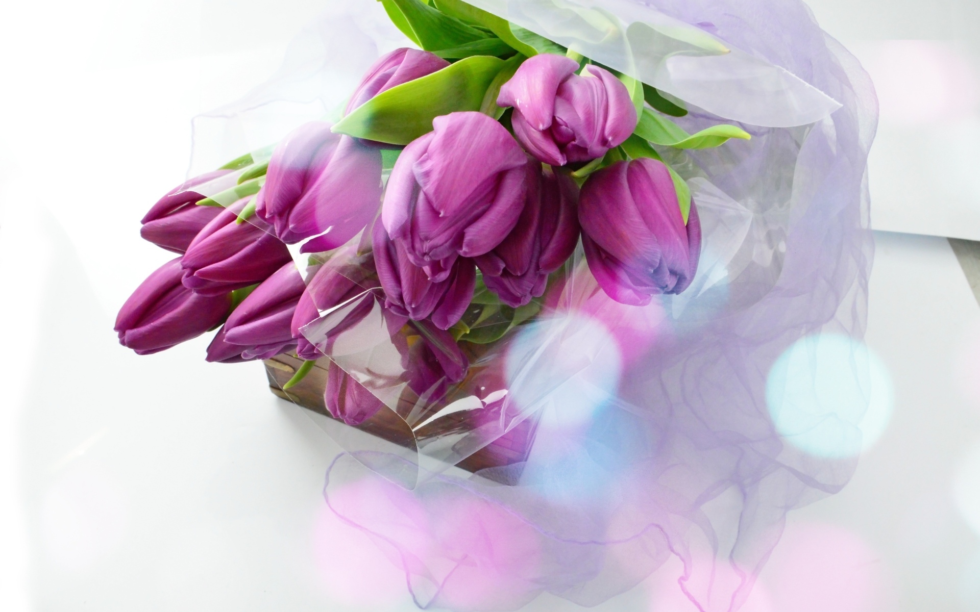 Букет тюльпанов с подарком на белом фоне