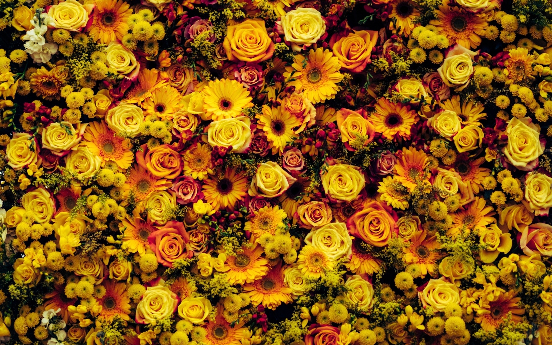 Много разных оранжевых цветов для фона