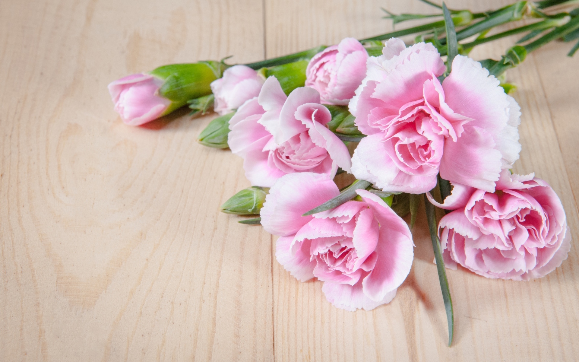 Розовые гвоздики на столе