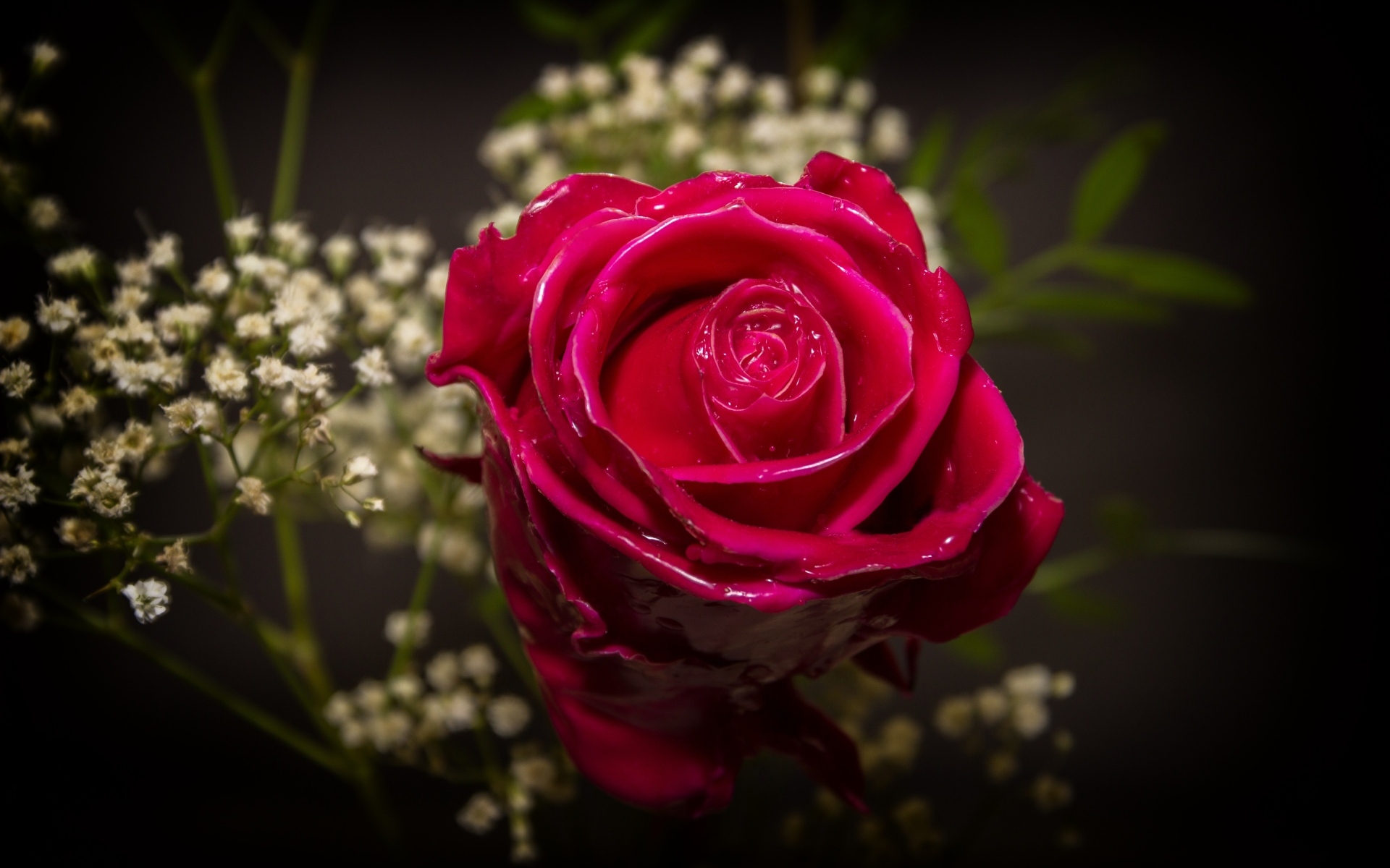 Красная роза залита воском