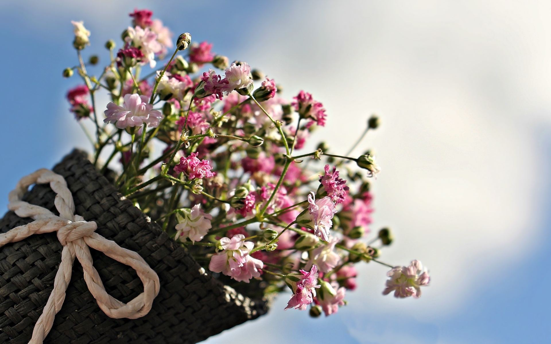 Маленькие цветы гипсофила в корзине