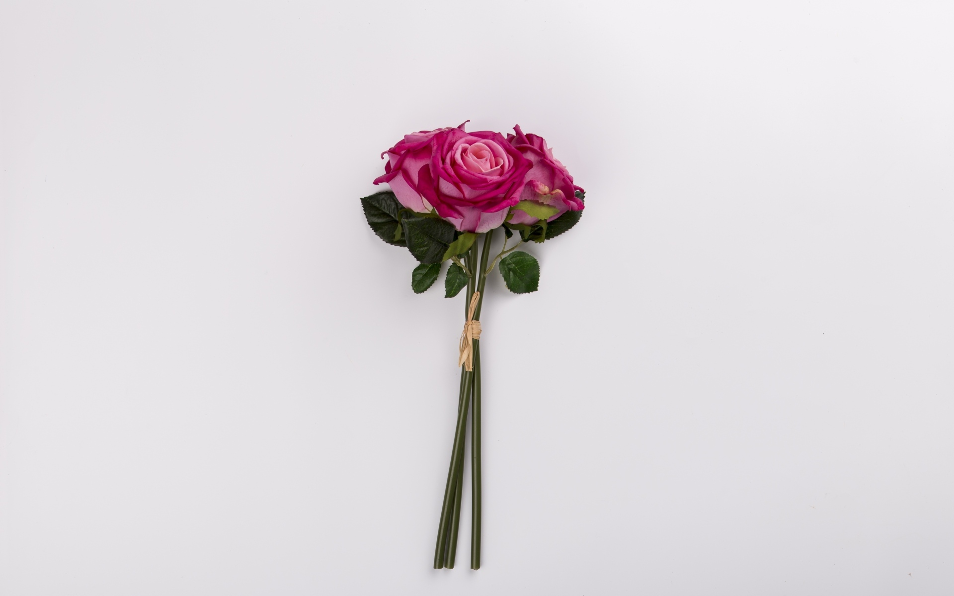 Три розы на сером фоне