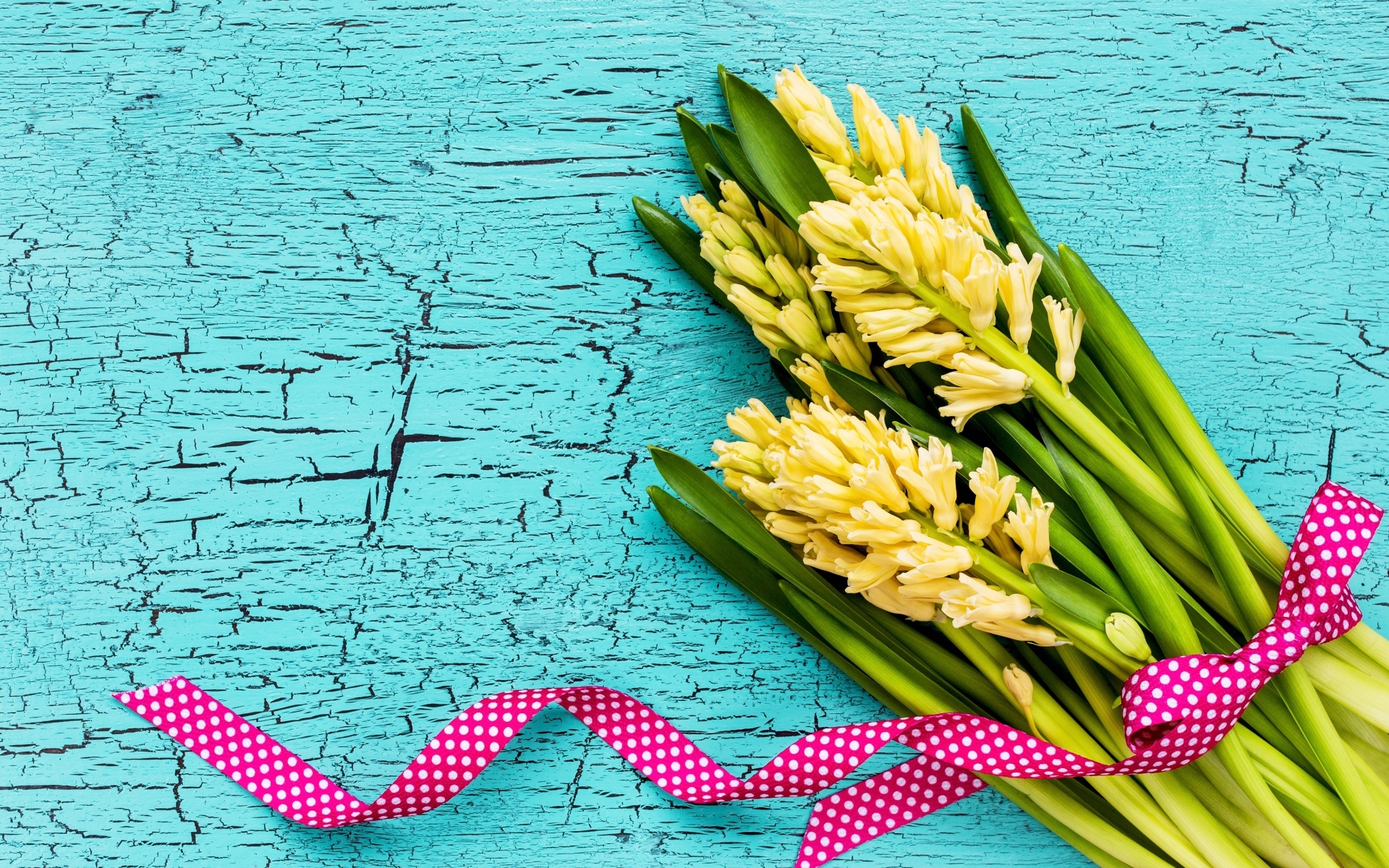 Желтые гиацинты с лентой на голубом фоне