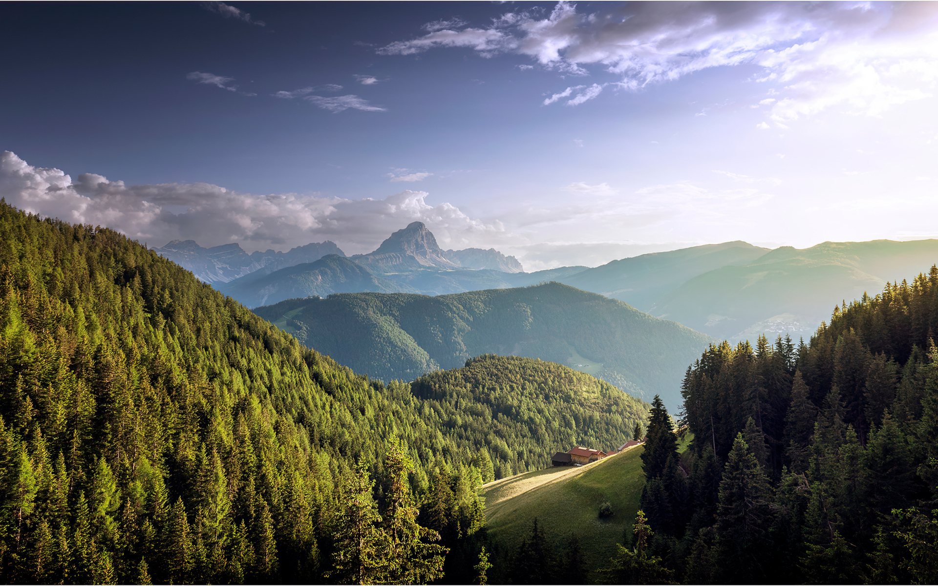 Большие покрытые густым лесом горы
