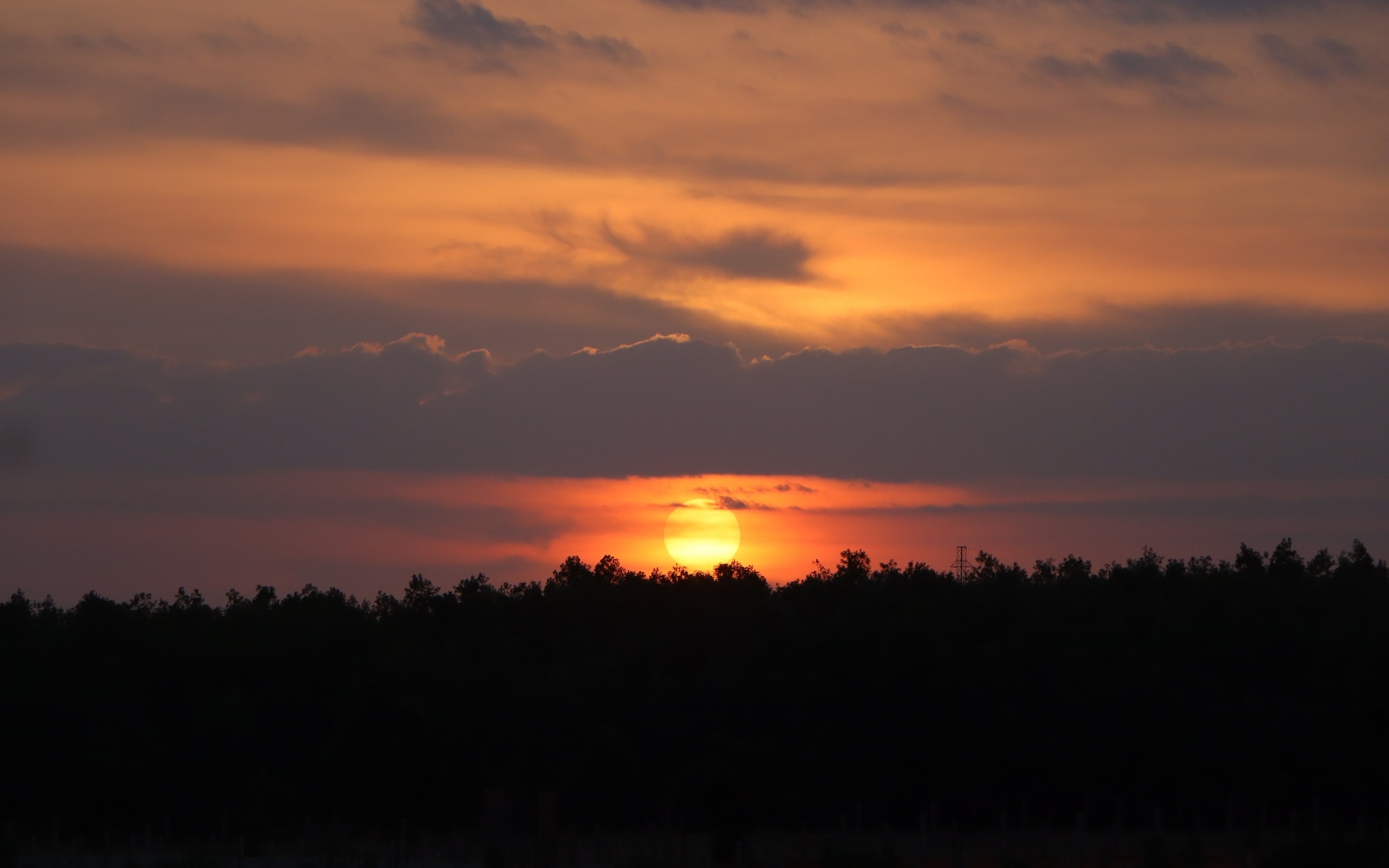 Яркое солнце садится за лесом