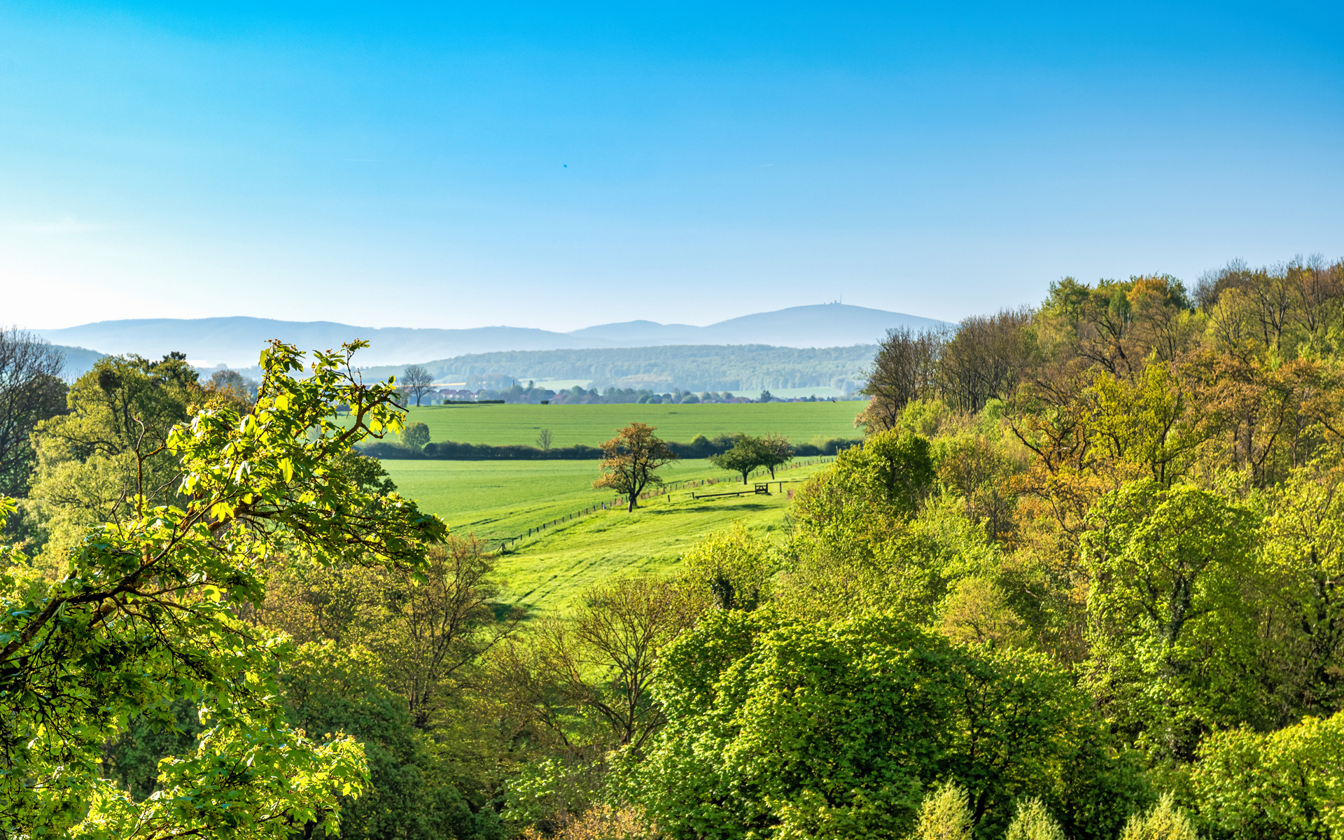 Зеленые деревья под голубым небом, Германия