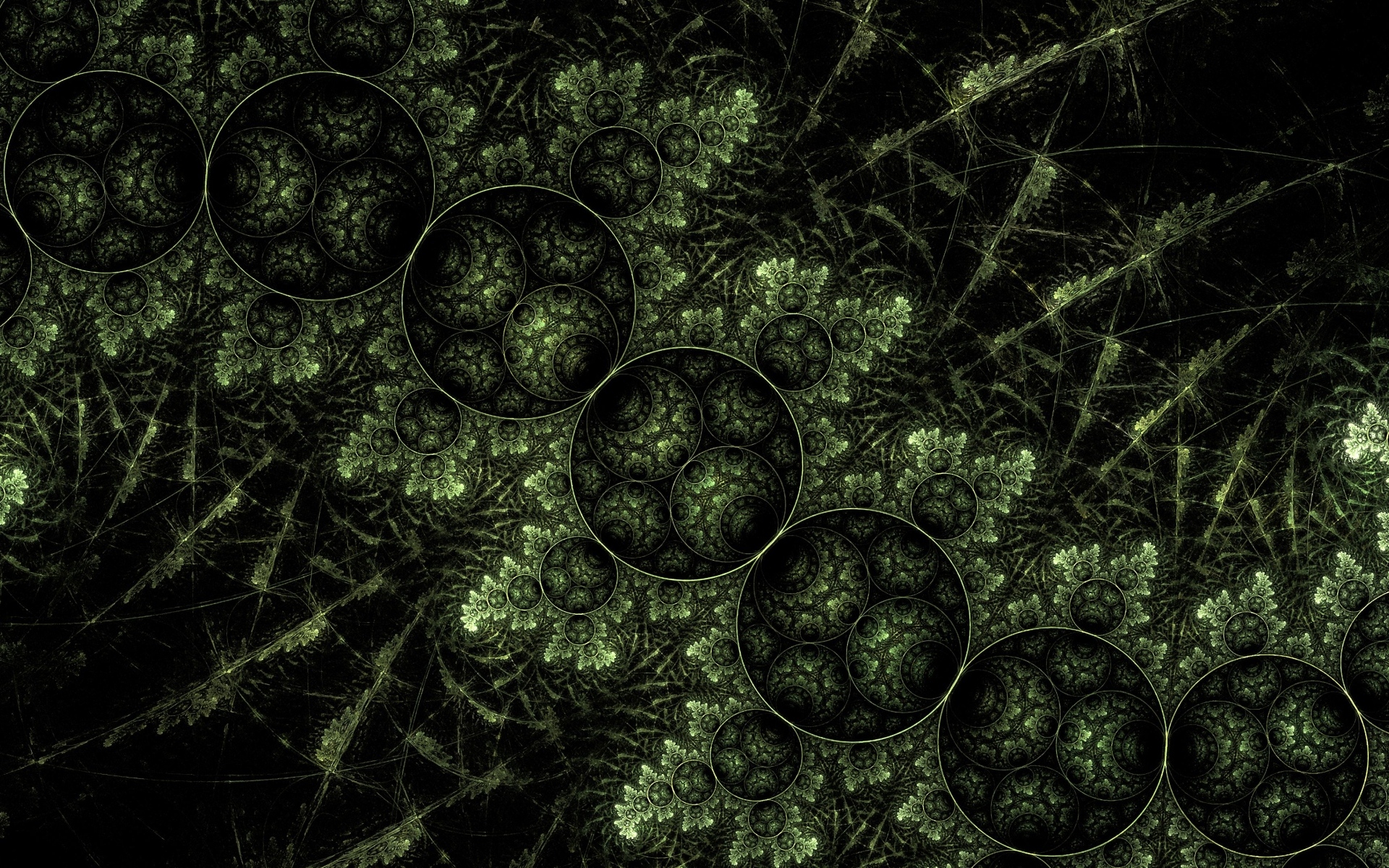 Зеленый растительный узор с кругами