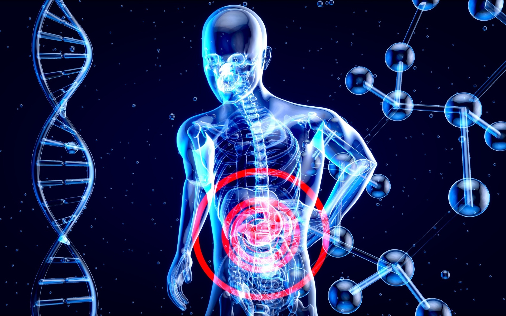 Скелет человека с  клетками на синем фоне