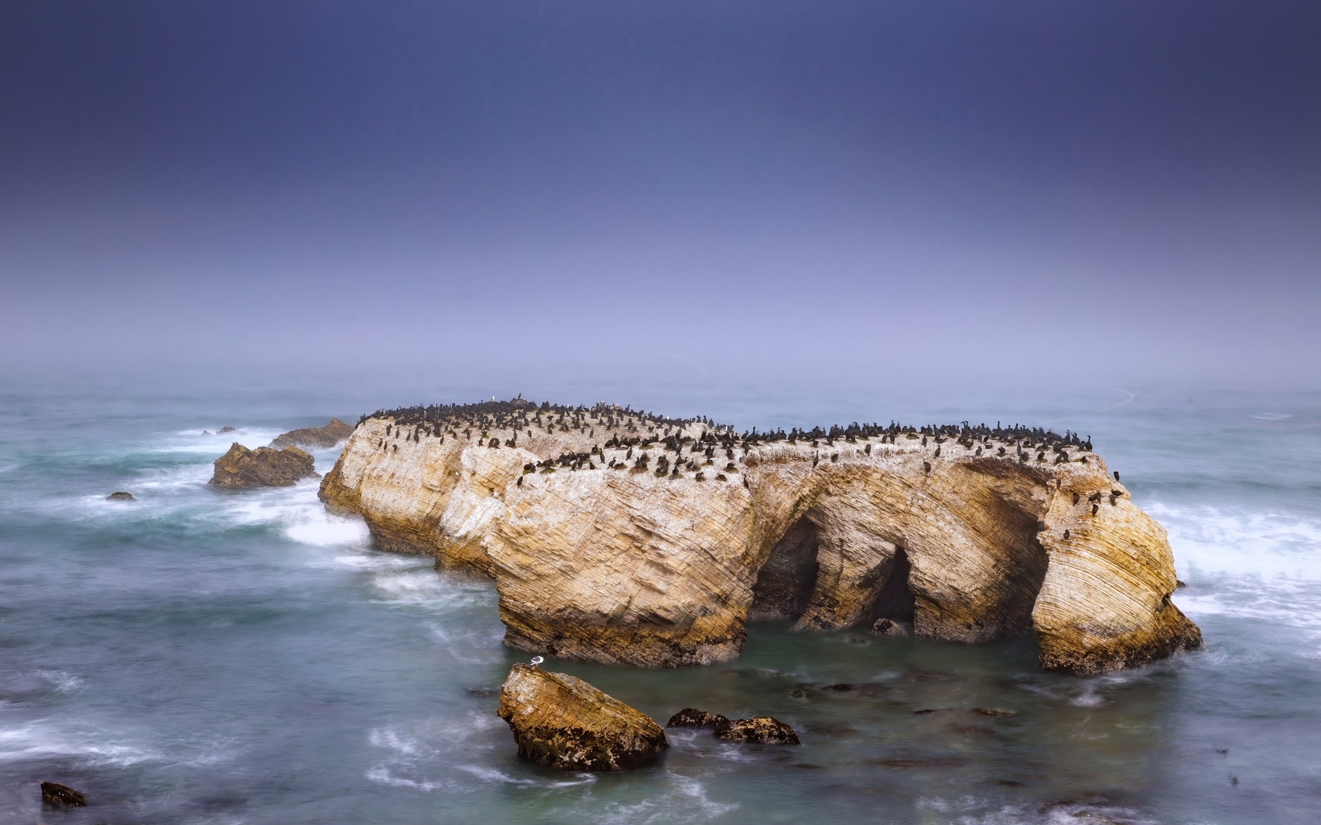 Пингвины на скале с бушующем море