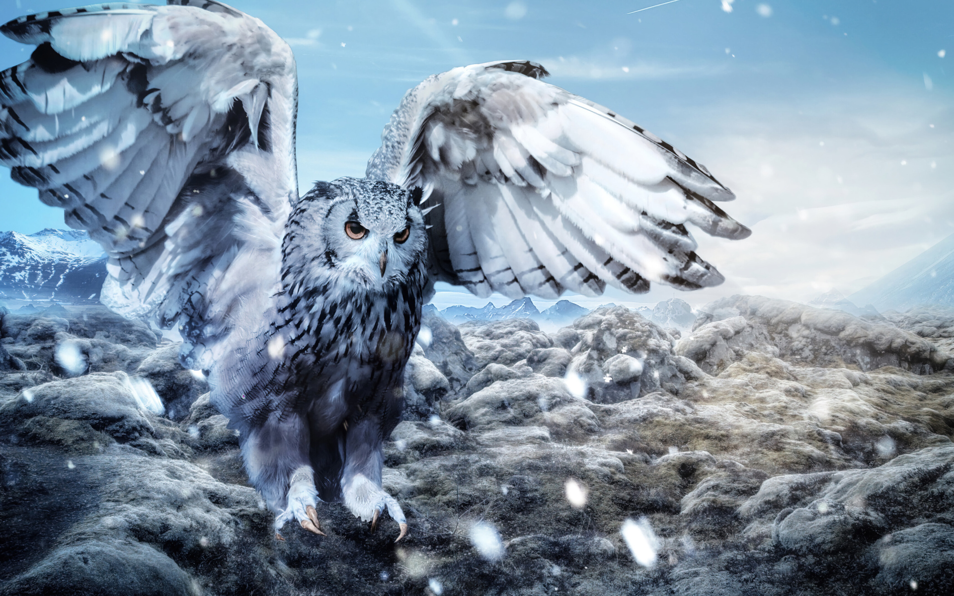 Большая сова расправила крылья 