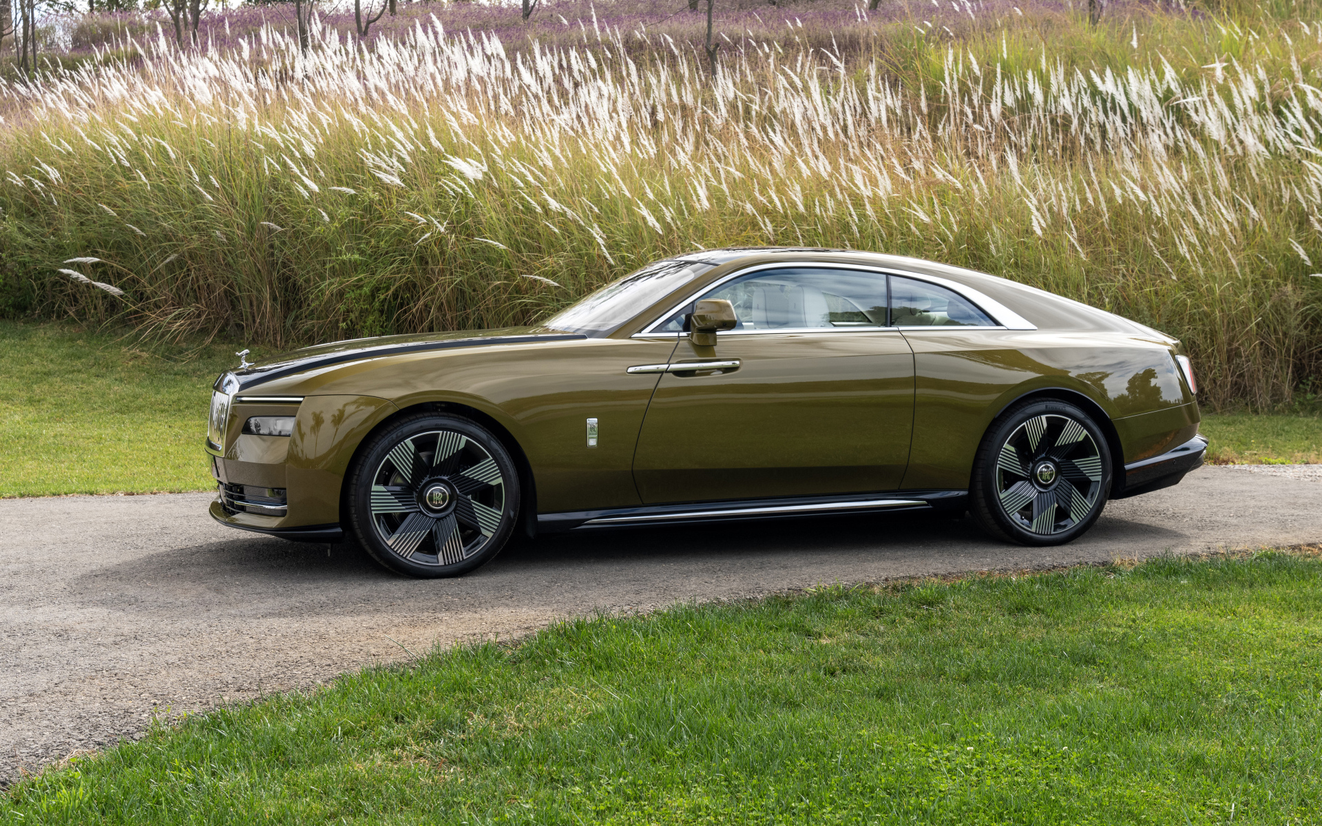 Оливковый автомобиль Rolls-Royce Spectre у высокой травы