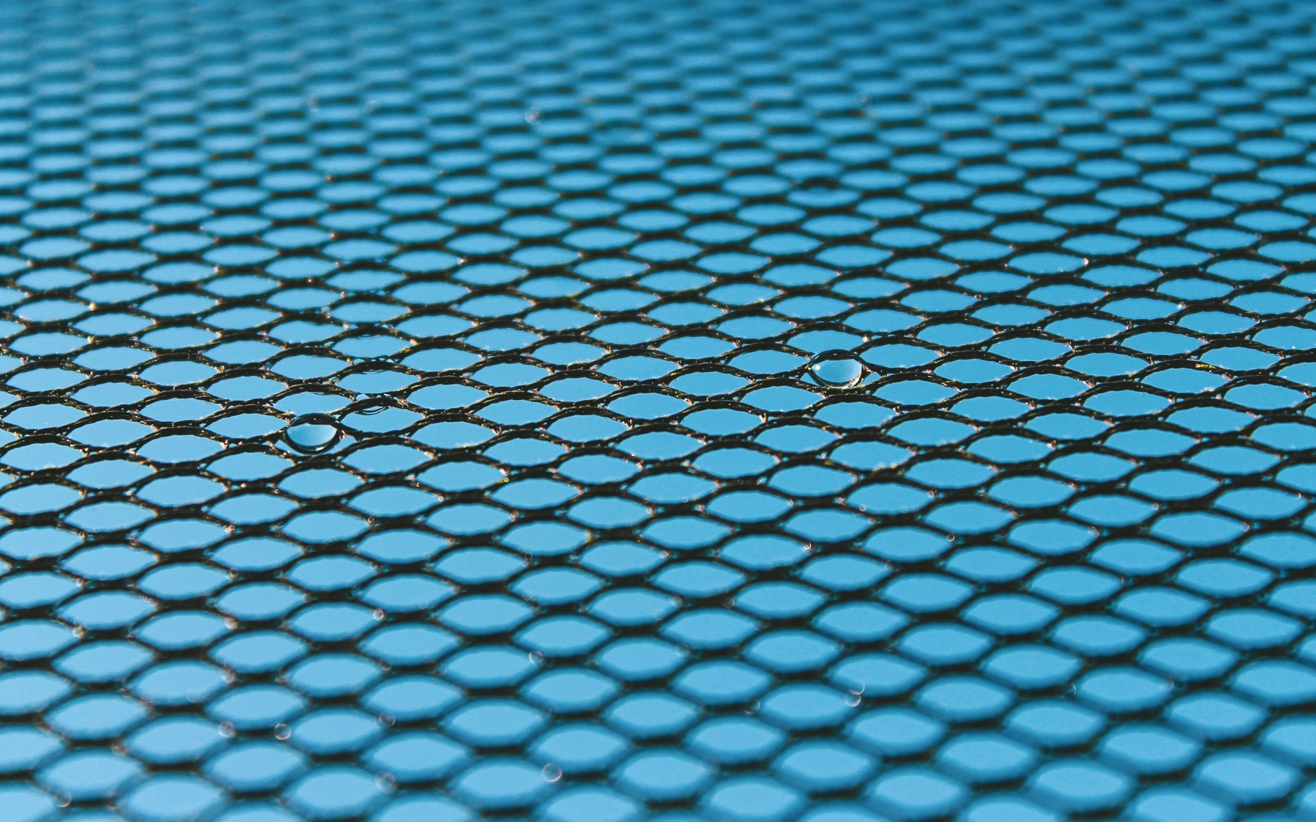 Черная сетка на голубом для фона