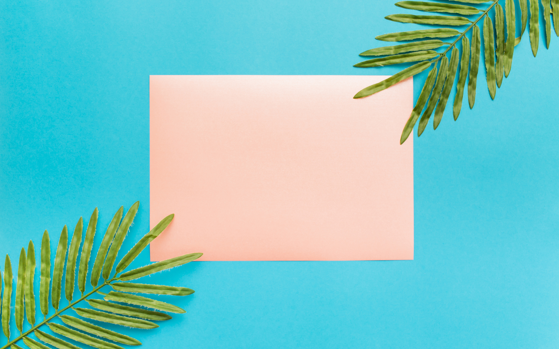 Лист бумаги и два зеленых листа на голубом фоне