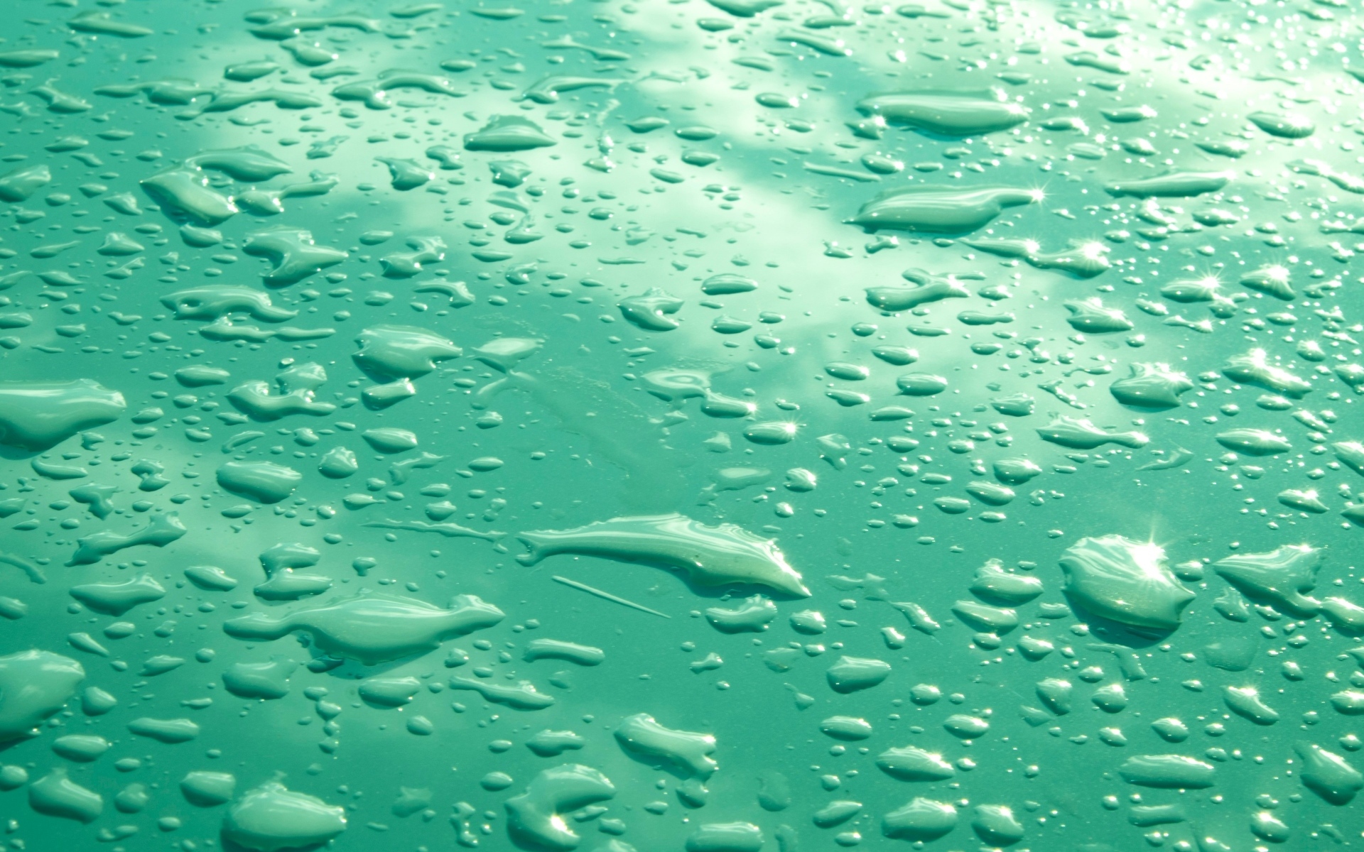 Капли воды на зеленом фоне