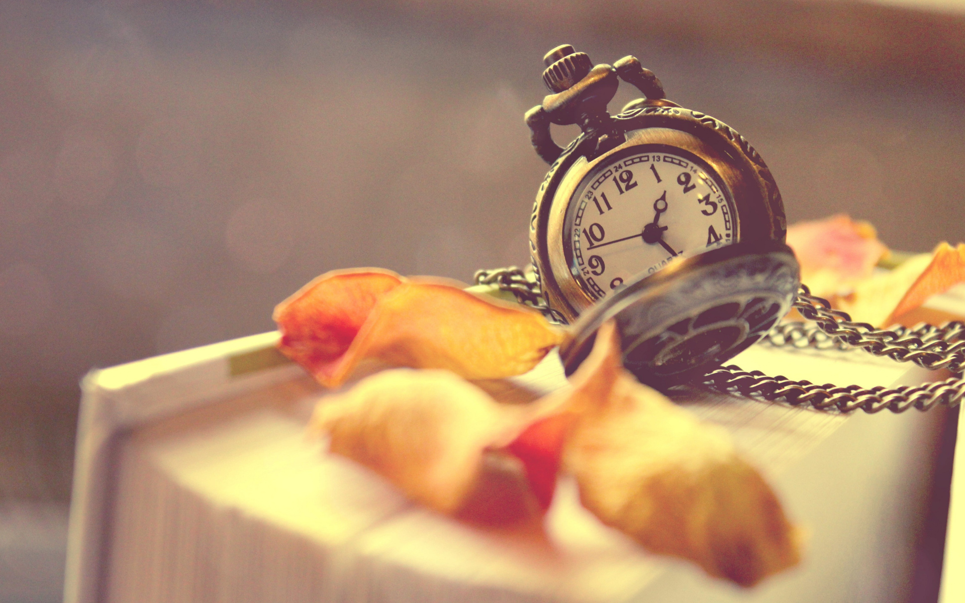 Старые карманные часы с сухими листьями лежат на книге