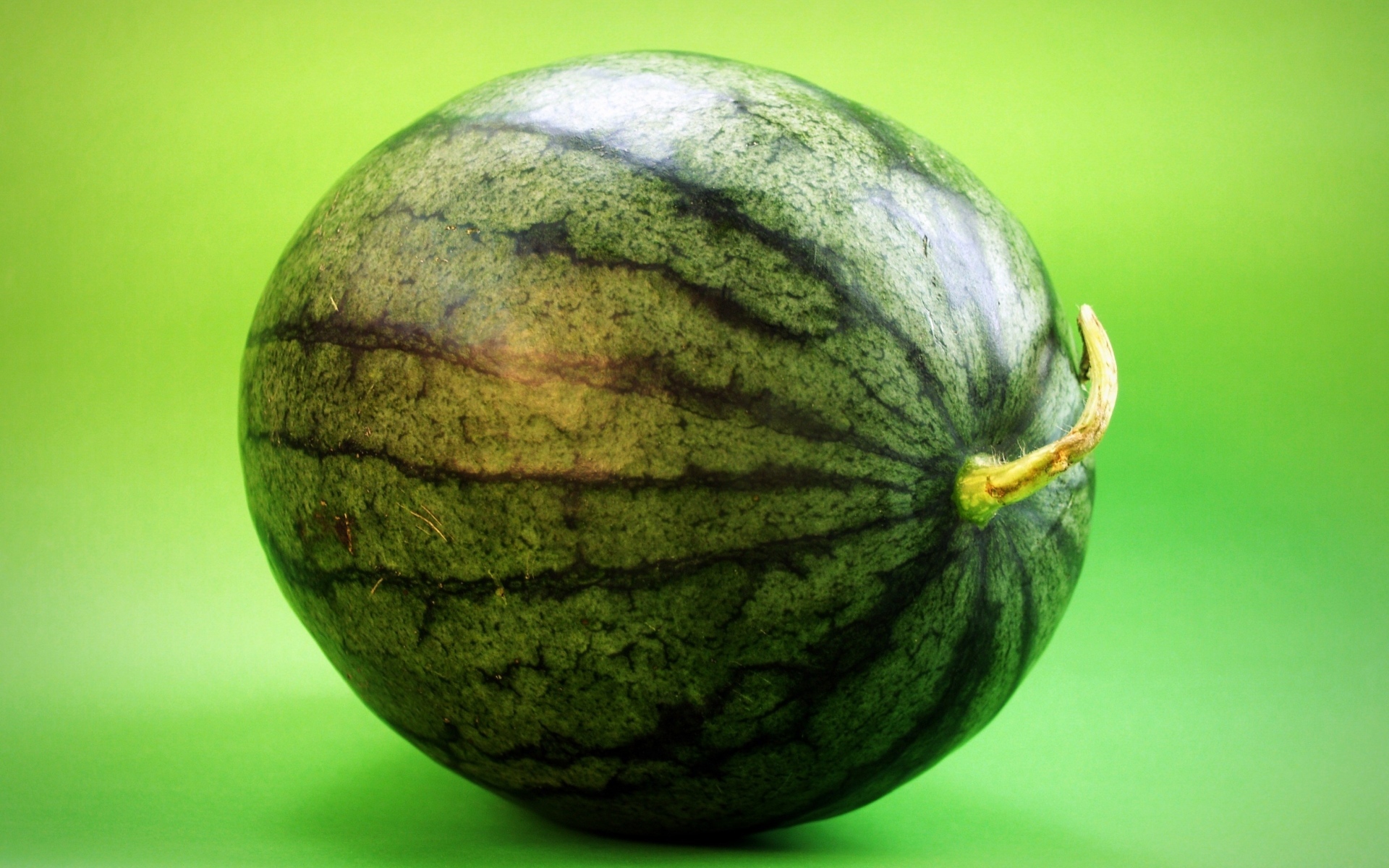 Большой полосатый арбуз на зеленом фоне крупным планом