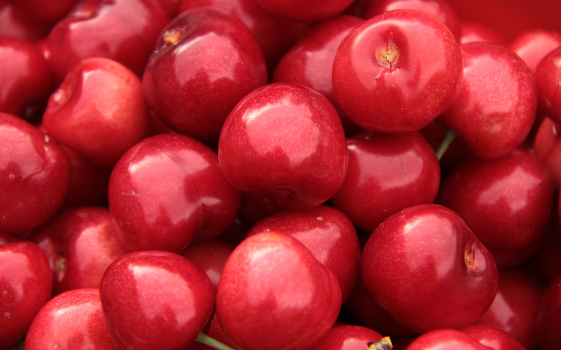 Спелые красные черешни крупным планом