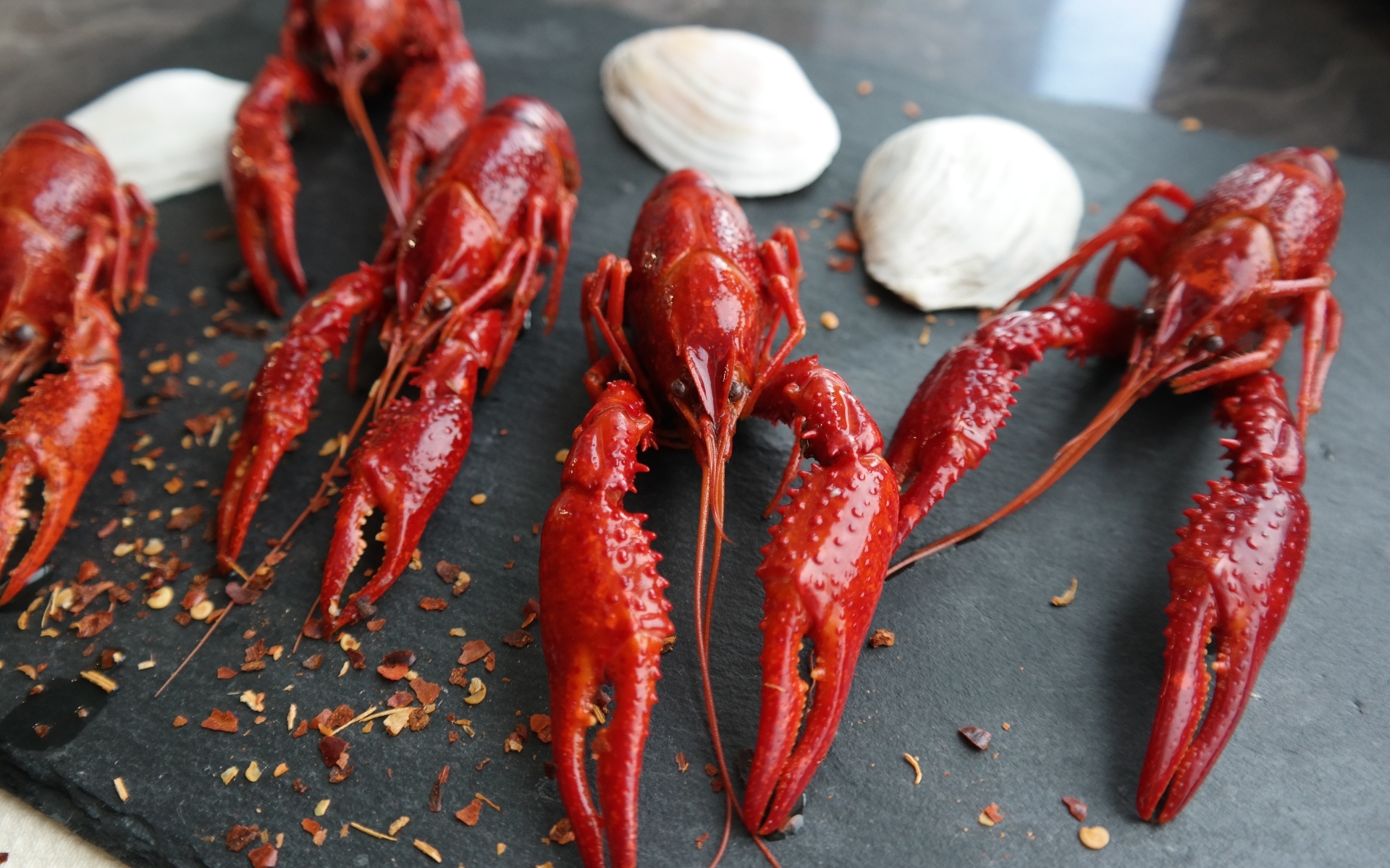 Красные вареные раки с ракушками на столе