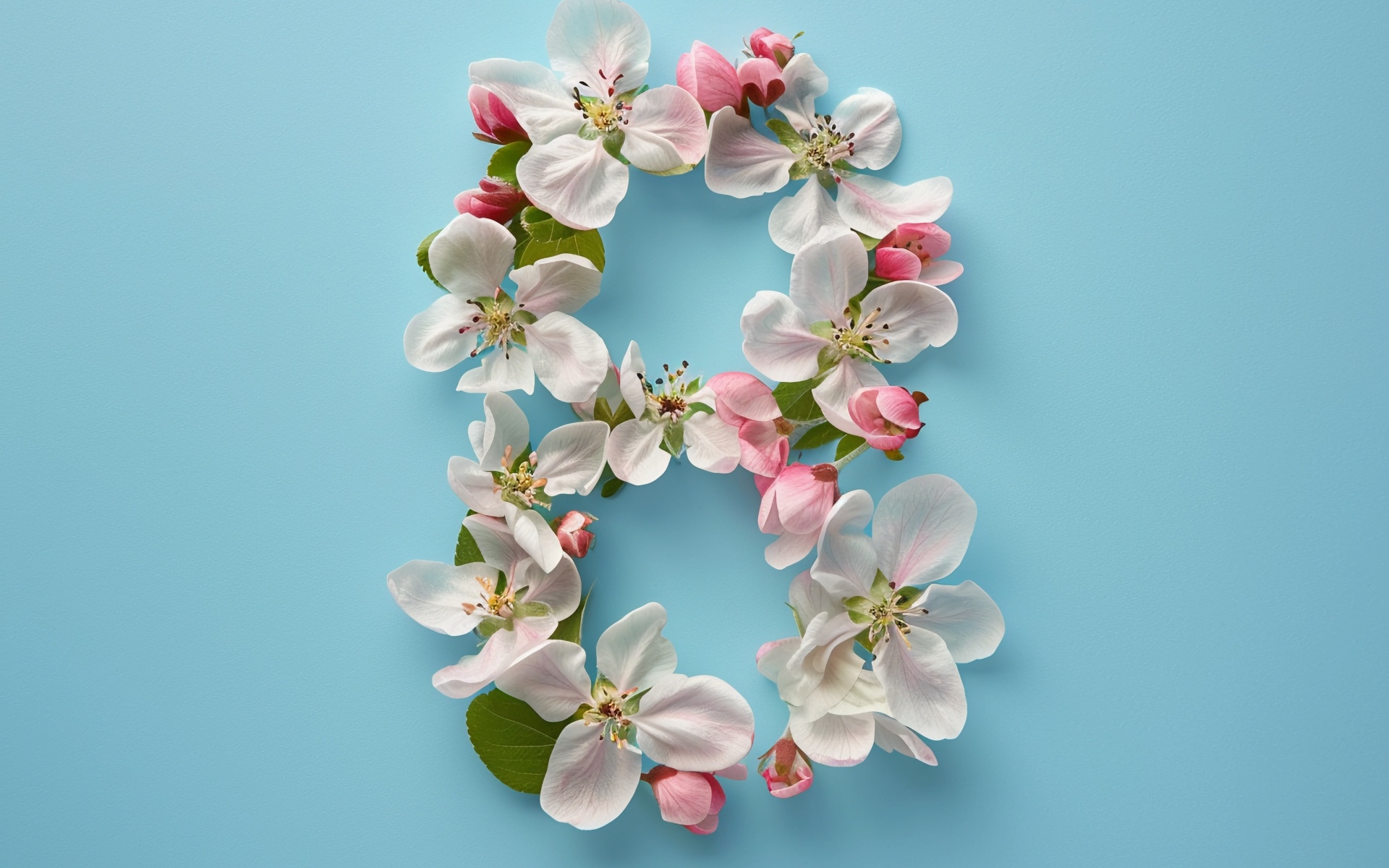 Цифра восемь из цветов яблони на голубом фоне на праздник
